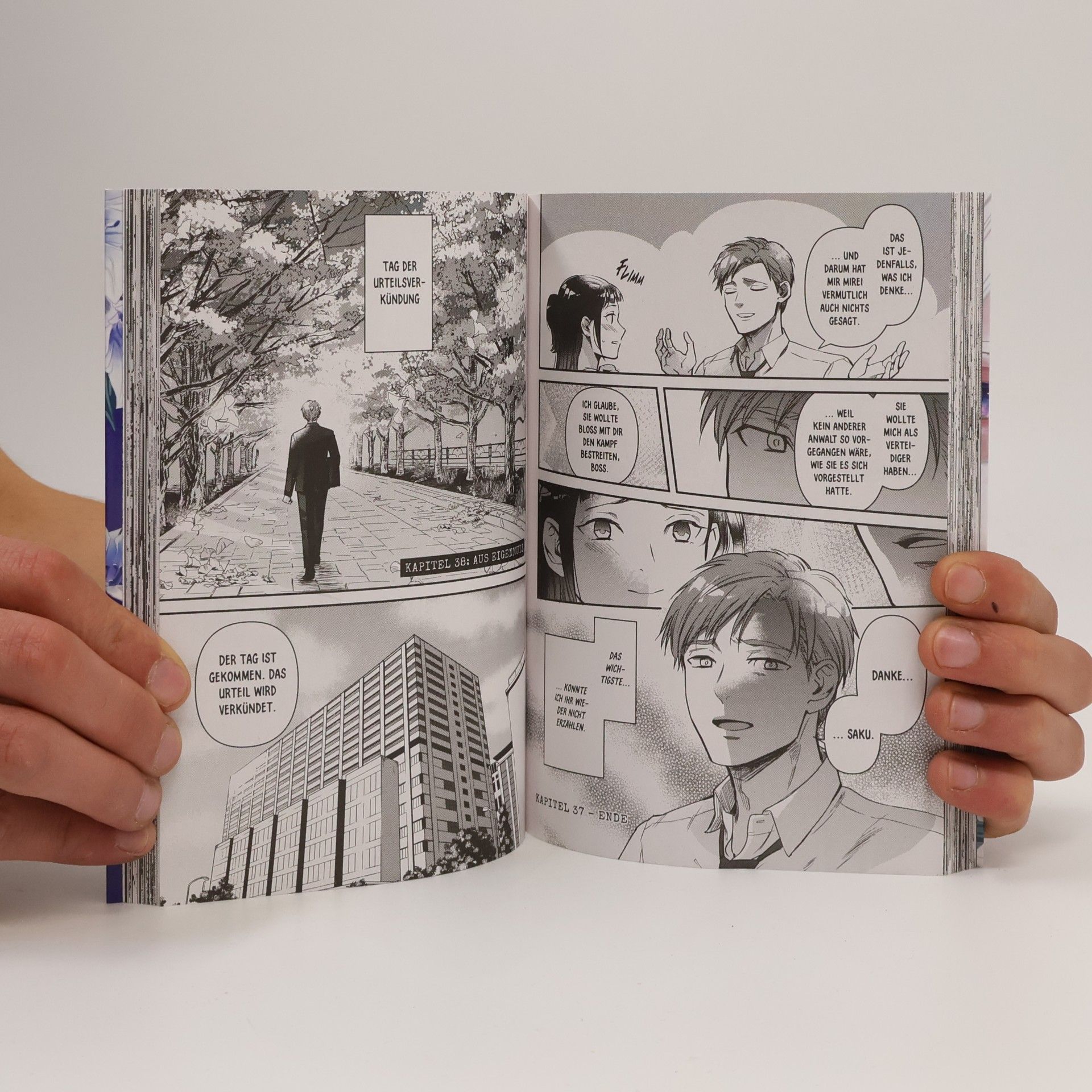 Ritsuo Igarashi The Innocent Game