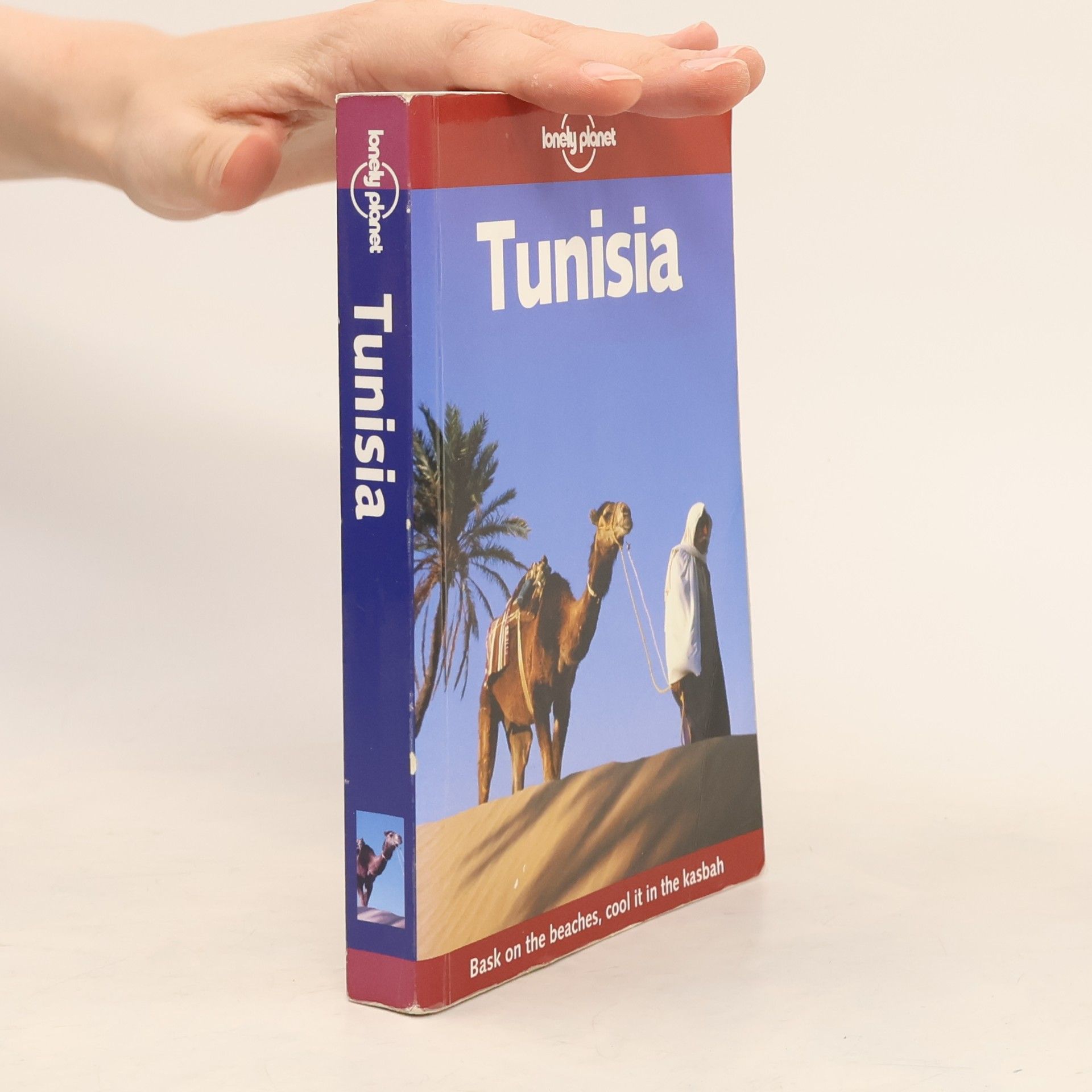 David Willett Tunisia
