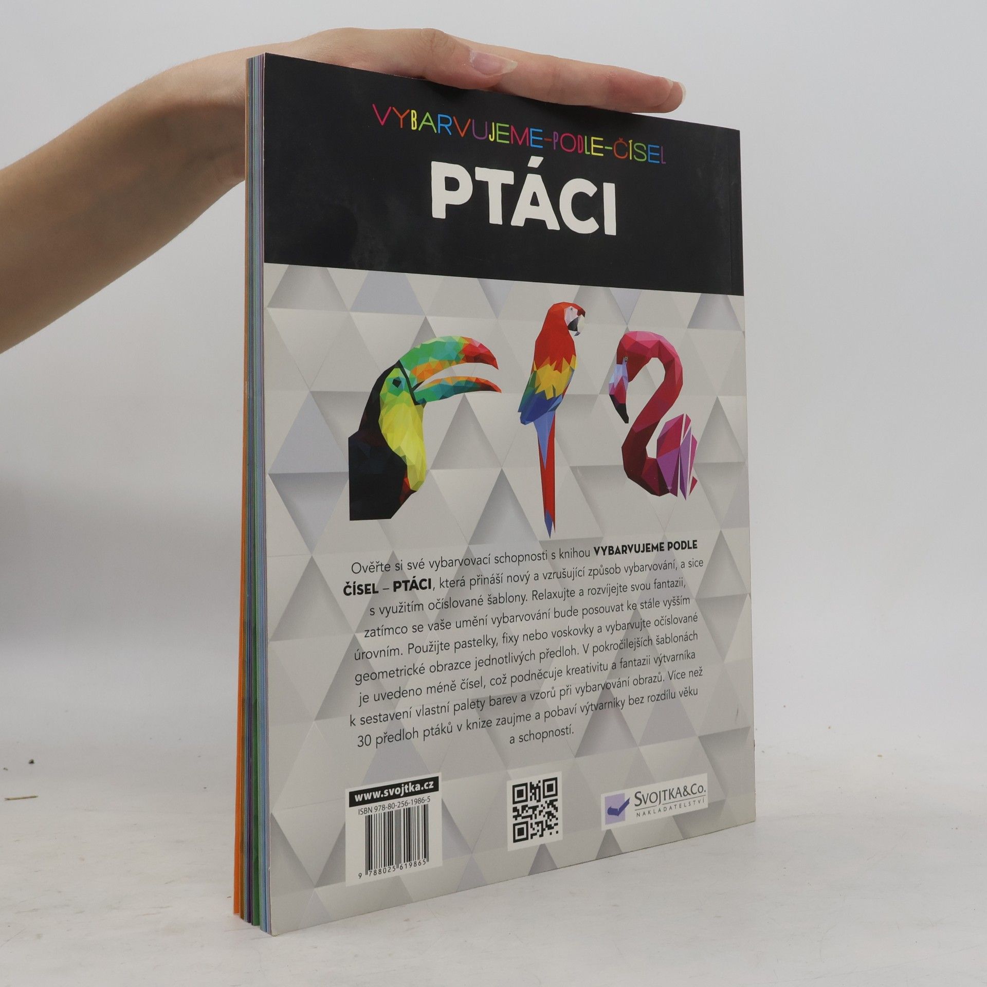 Kolektiv autorů Ptáci – Vybarvujeme podle čísel