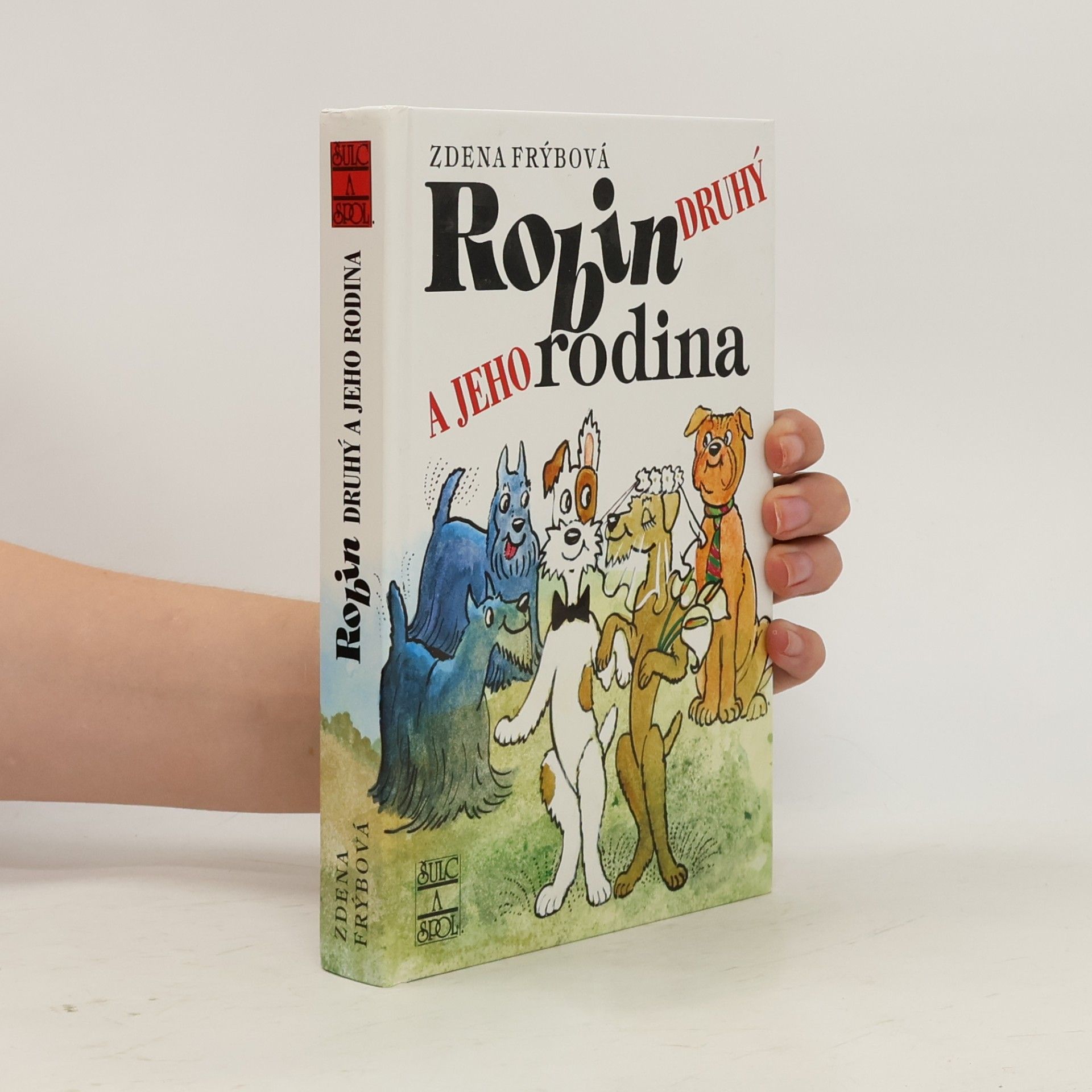 Zdena Frýbová Robin Druhý a jeho rodina
