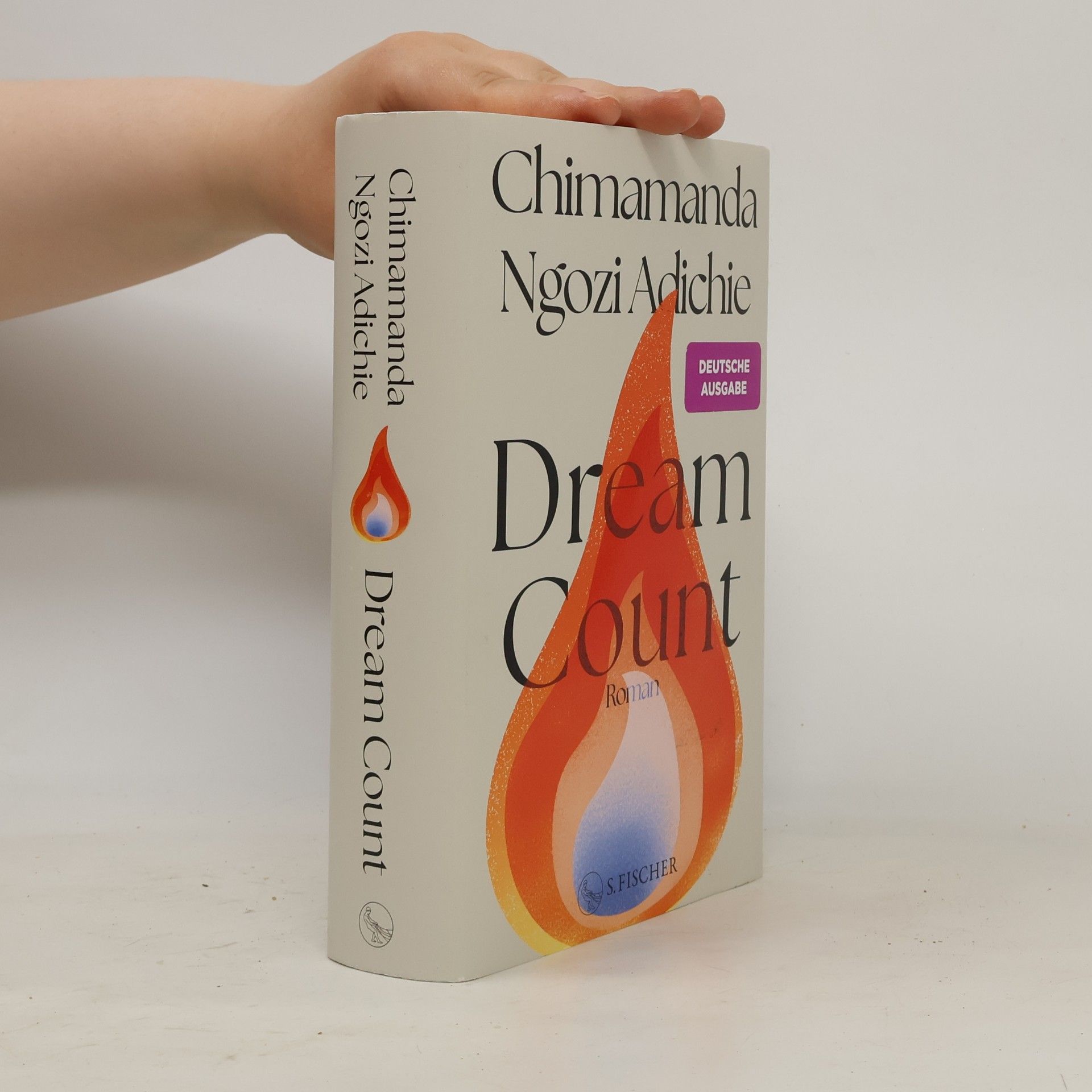 Chimamanda Ngozi Adichie Dream Count