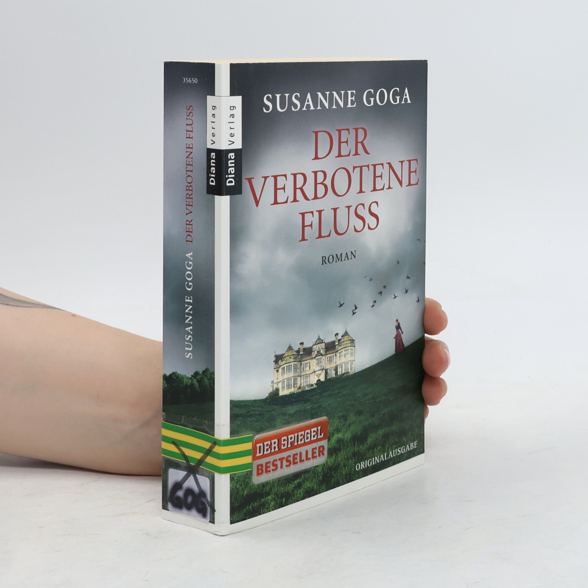 Susanne Goga Der verbotene Fluss