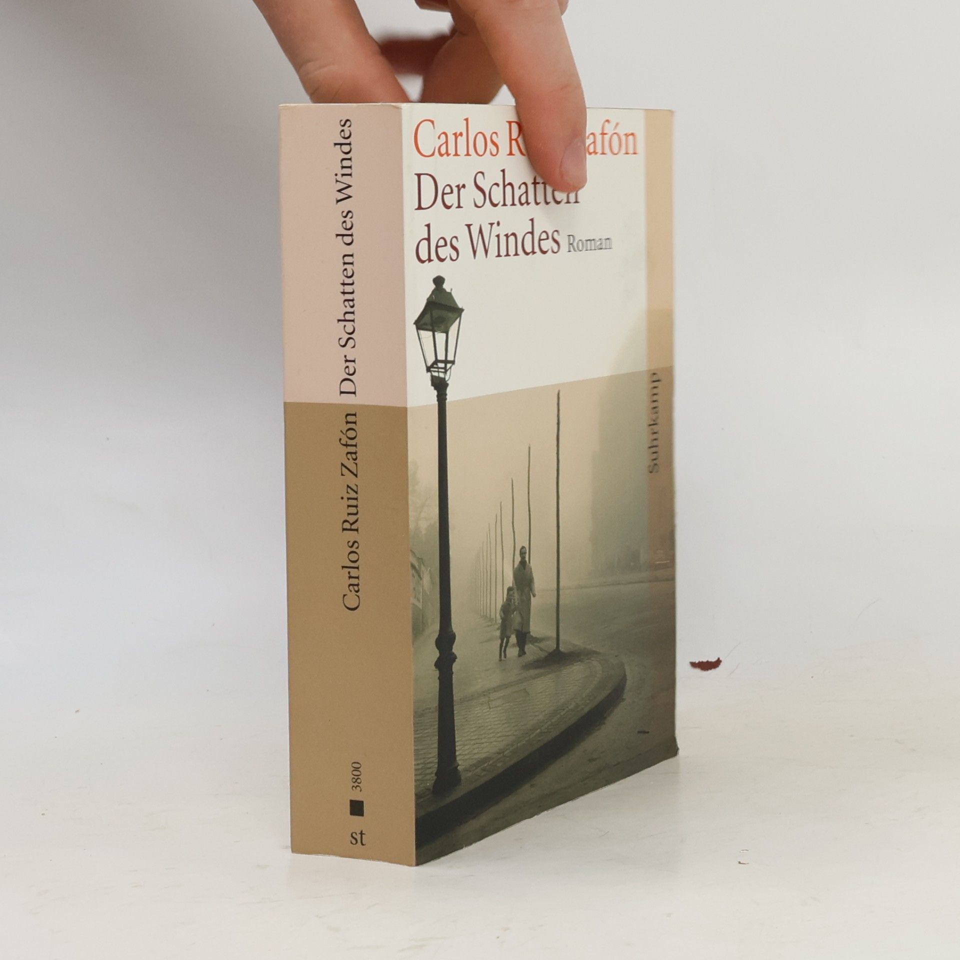 Carlos Ruiz Zafón Der Schatten des Windes