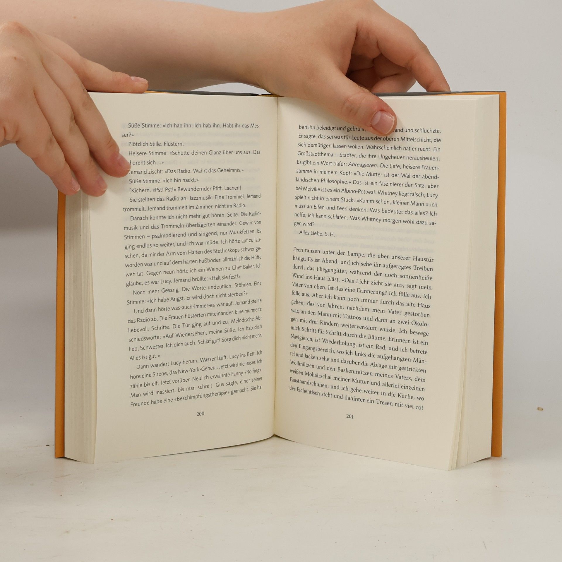 Siri Hustvedt Damals