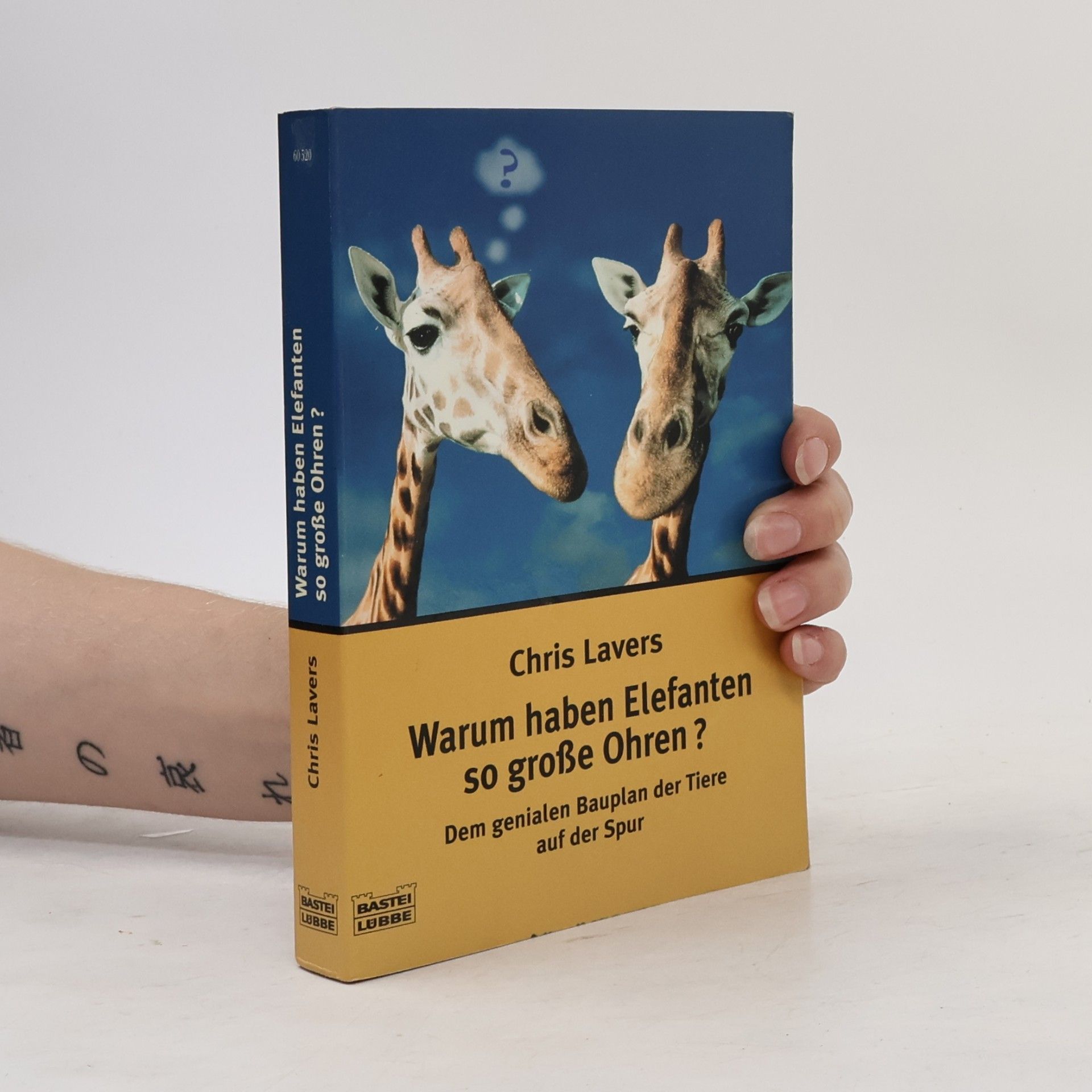 Chris Lavers Warum Elefanten große Ohren haben