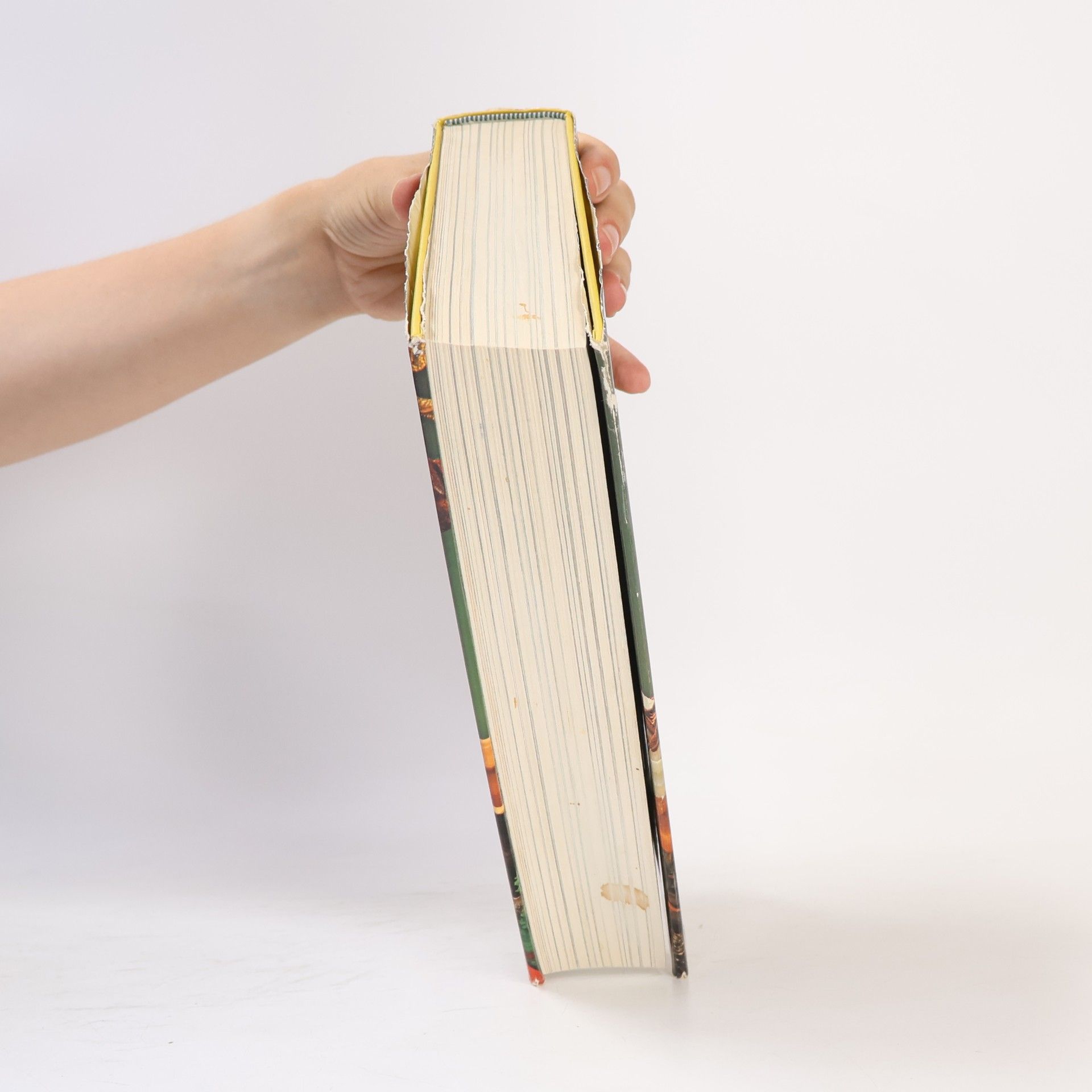 Edda Meyer-Berkhout Das grosse Buch der guten Küche