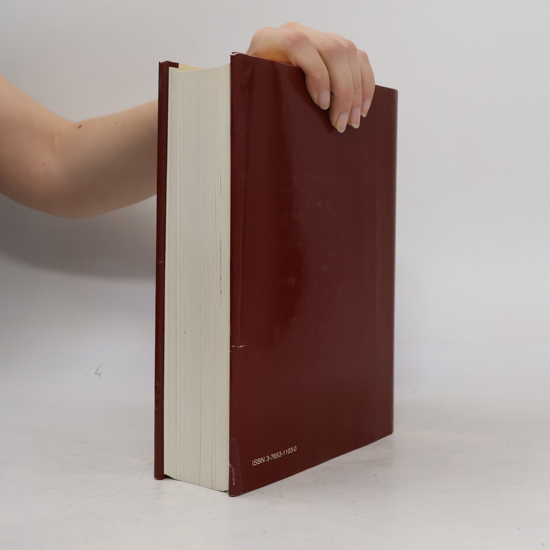 Autorenkollektiv Brockhaus Enzyklopädie 3. BED-BRN