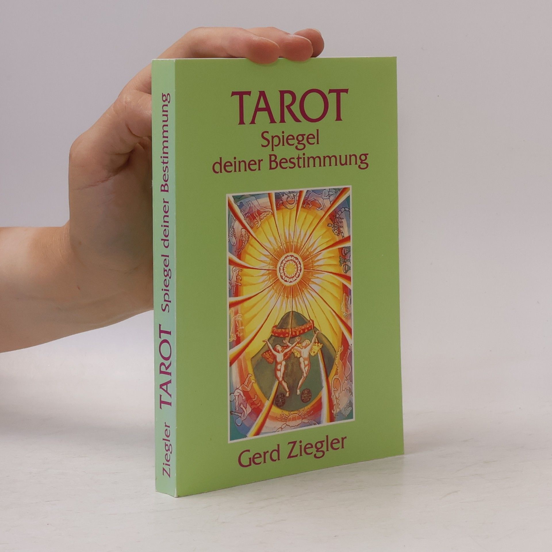 Gerd Ziegler Tarot. Spiegel deiner Bestimmung