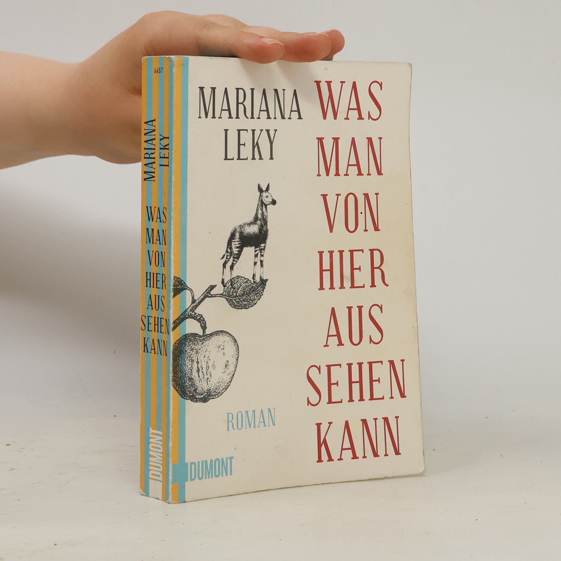 Mariana Leky Was man von hier aus sehen kann