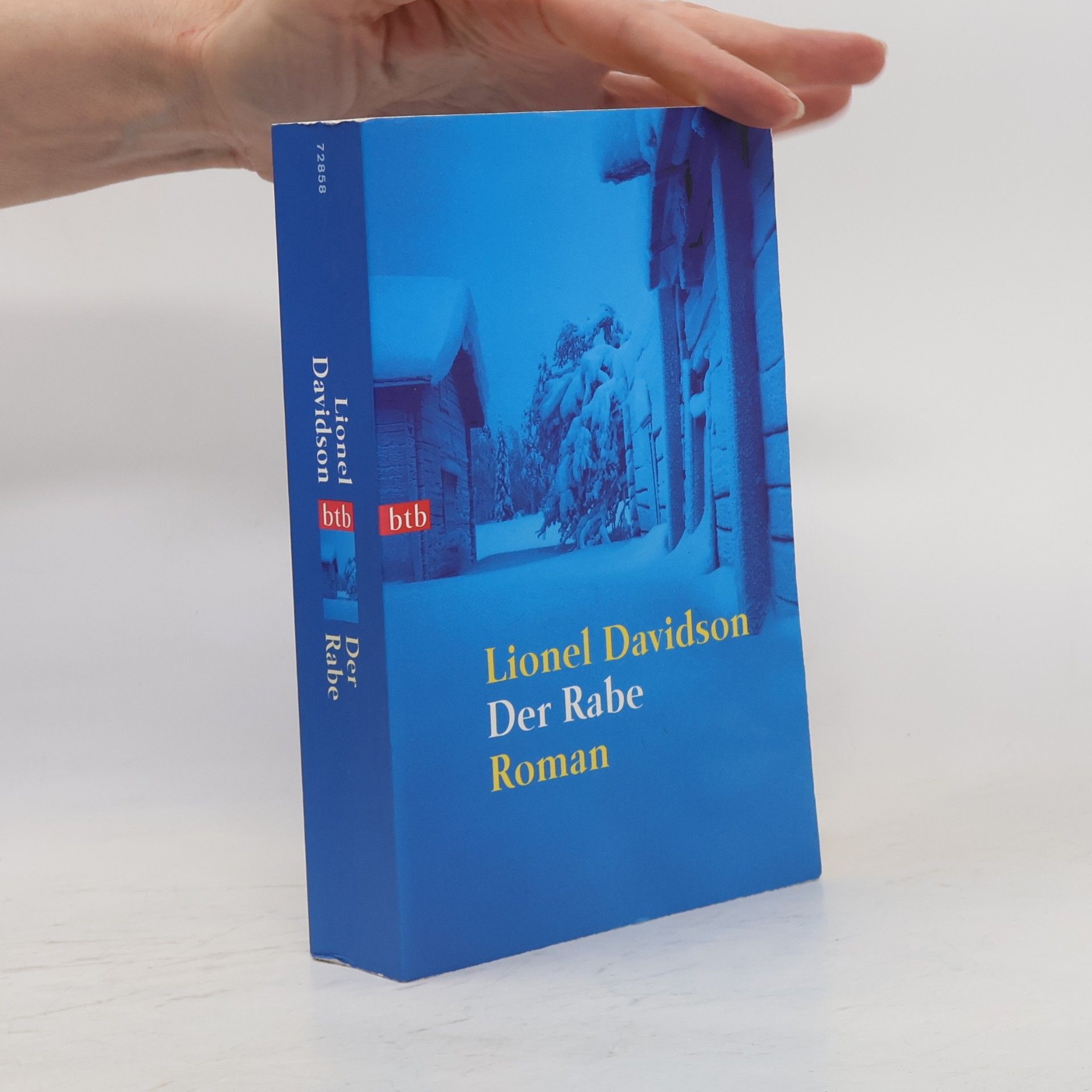 Lionel Davidson Der Rabe
