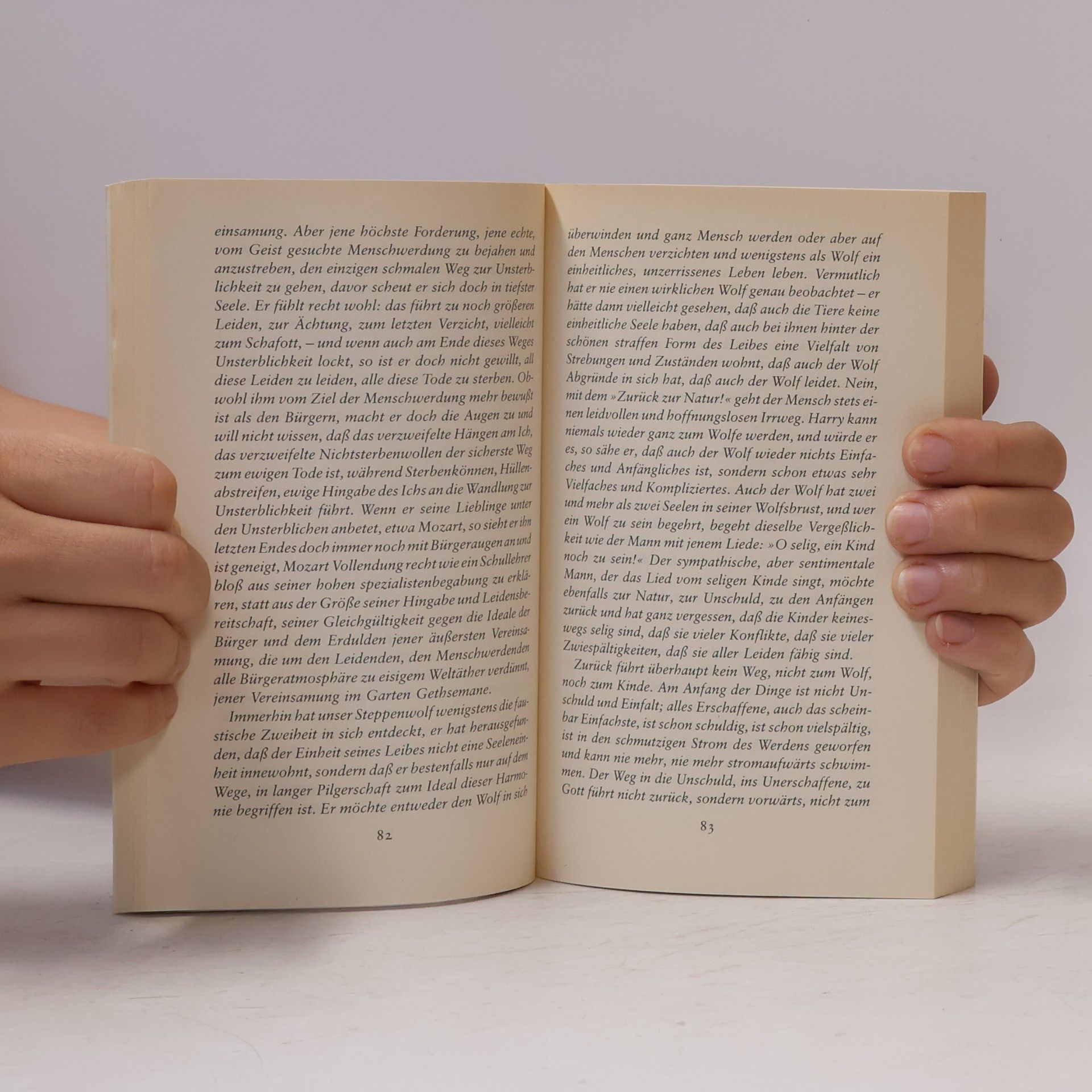 Hermann Hesse Der Steppenwolf