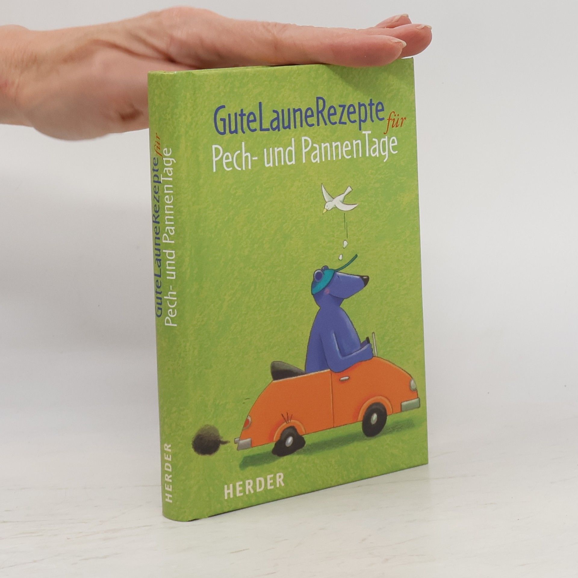 Fabian Bergmann GuteLauneRezepte für Pech- und PannenTage
