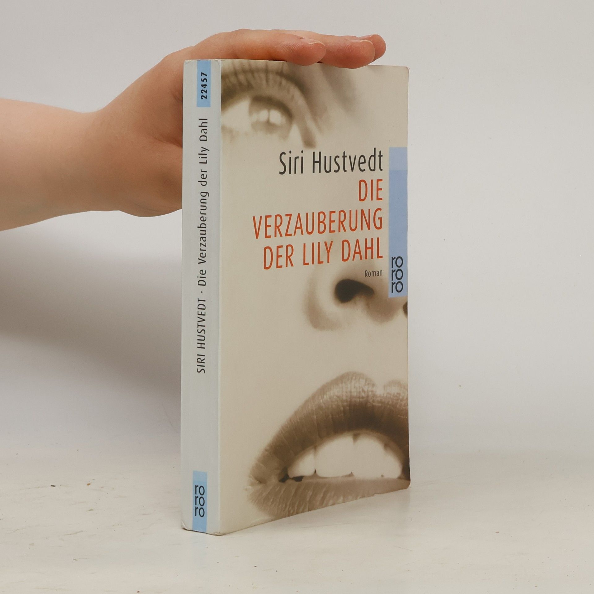 Siri Hustvedt Die Verzauberung der Lily Dahl