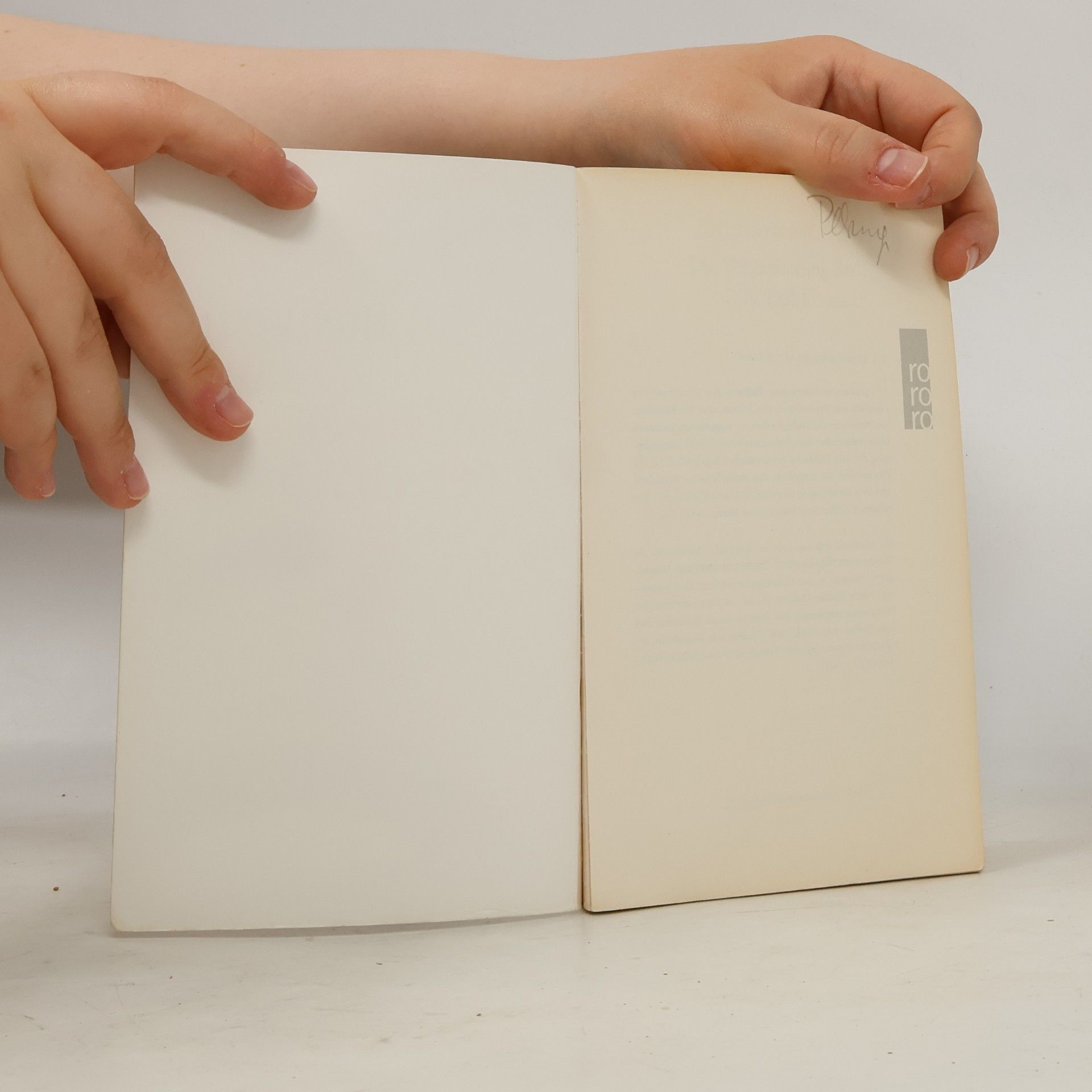 Siri Hustvedt Die Verzauberung der Lily Dahl
