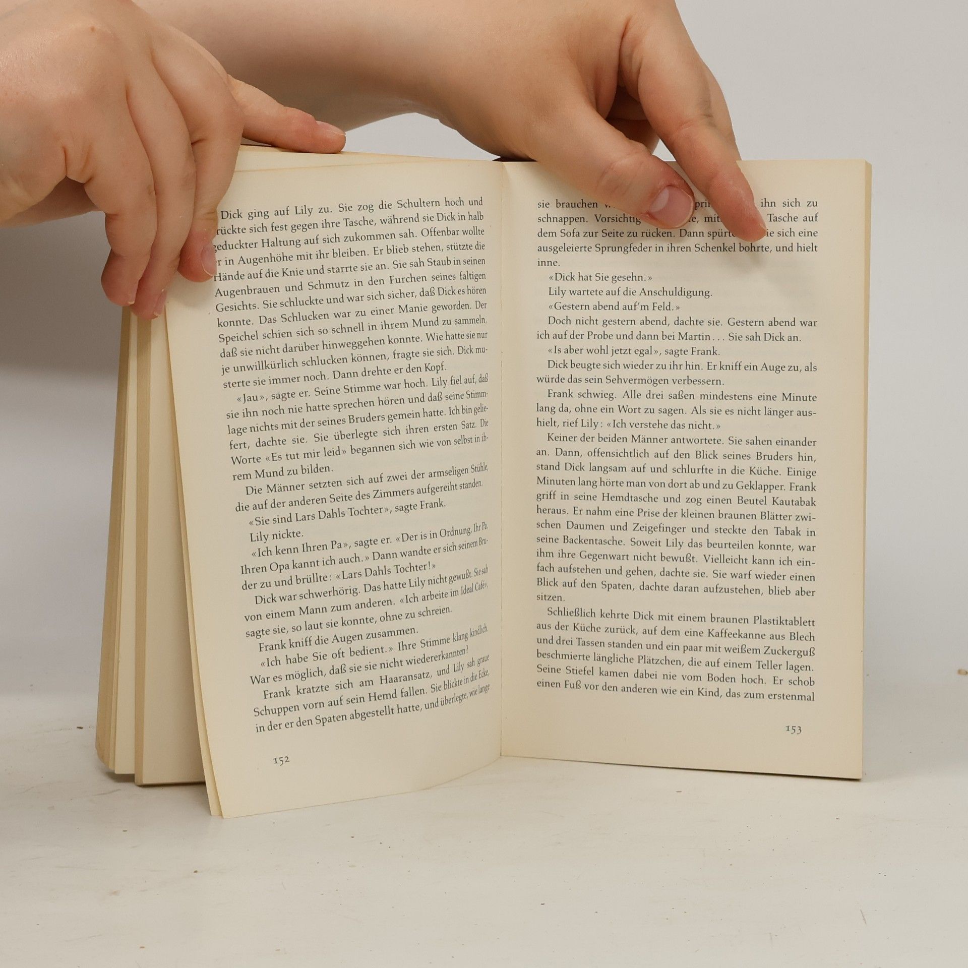 Siri Hustvedt Die Verzauberung der Lily Dahl