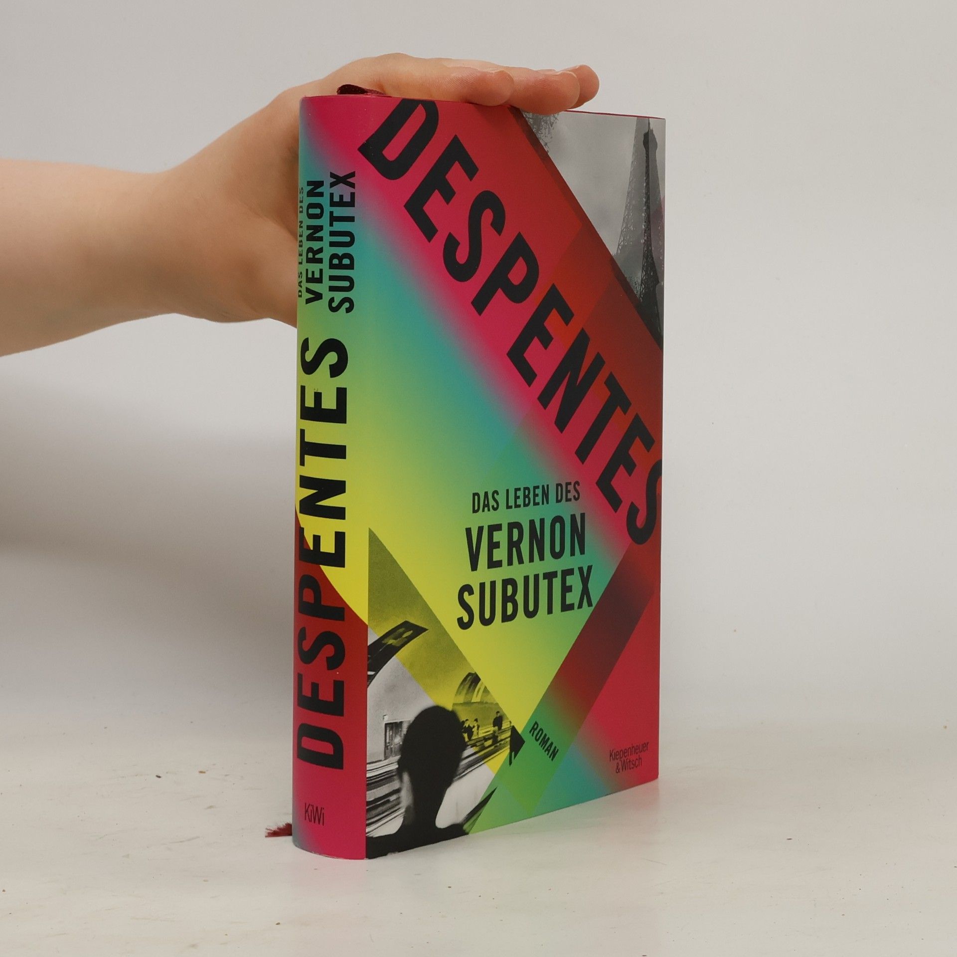 Virginie Despentes Das Leben des Vernon Subutex 1