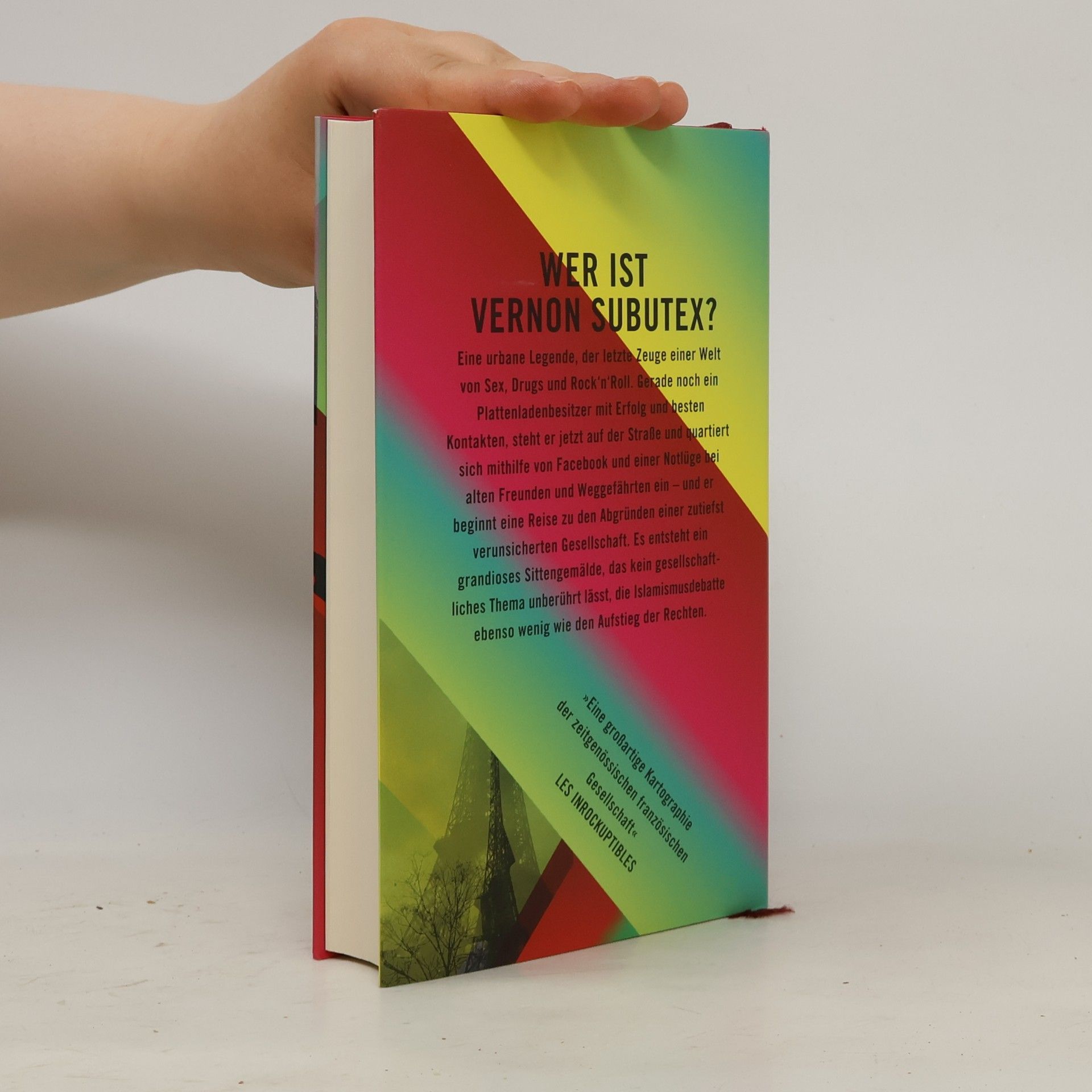Virginie Despentes Das Leben des Vernon Subutex 1