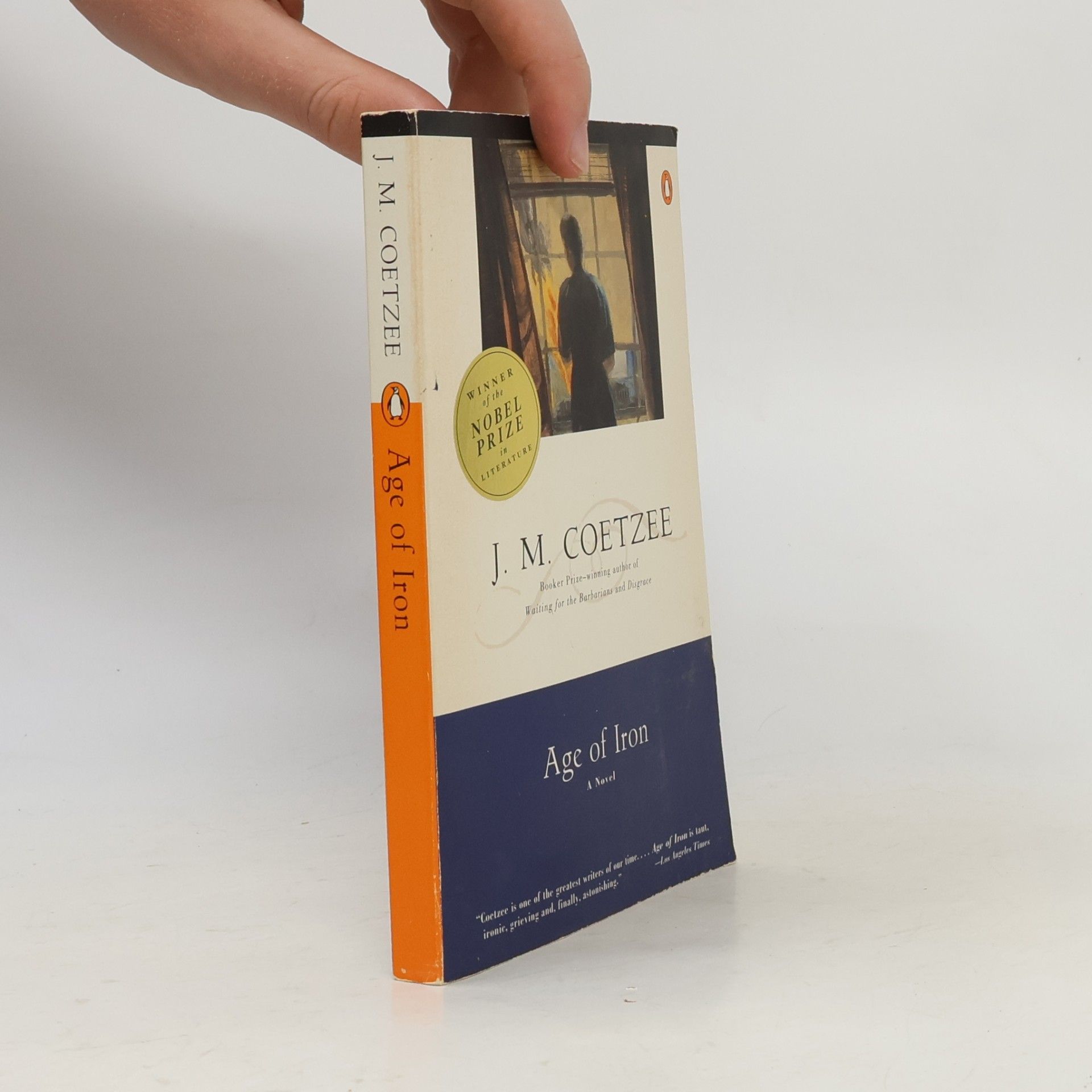 John Maxwell Coetzee Age of Iron