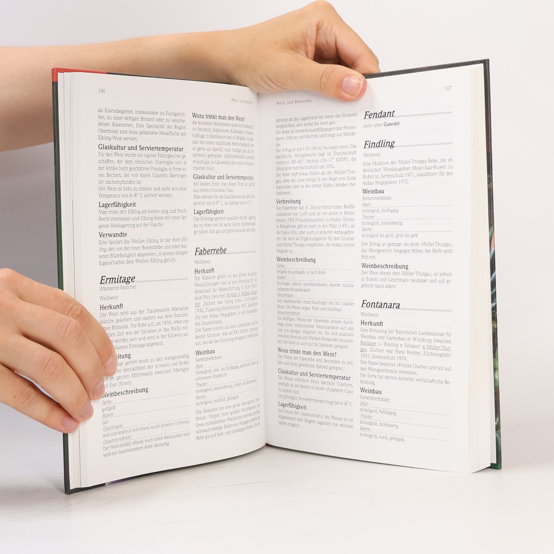 Rudolf Steurer Steurers Weinhandbuch