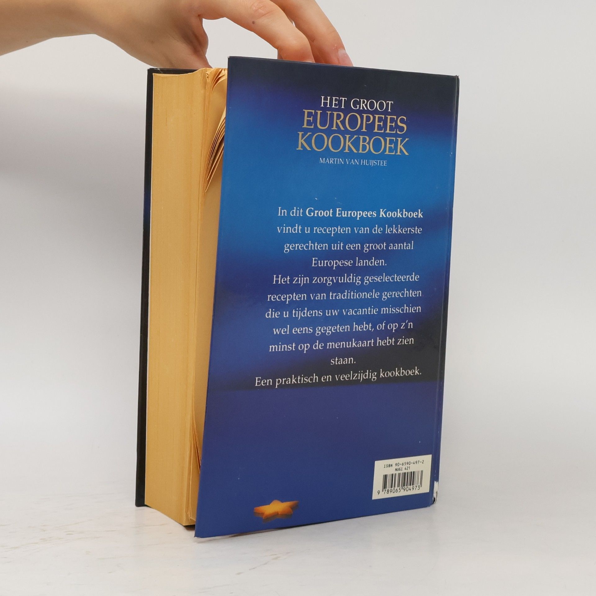 Martin Van Huijstee Het Groot Europees Kookboek