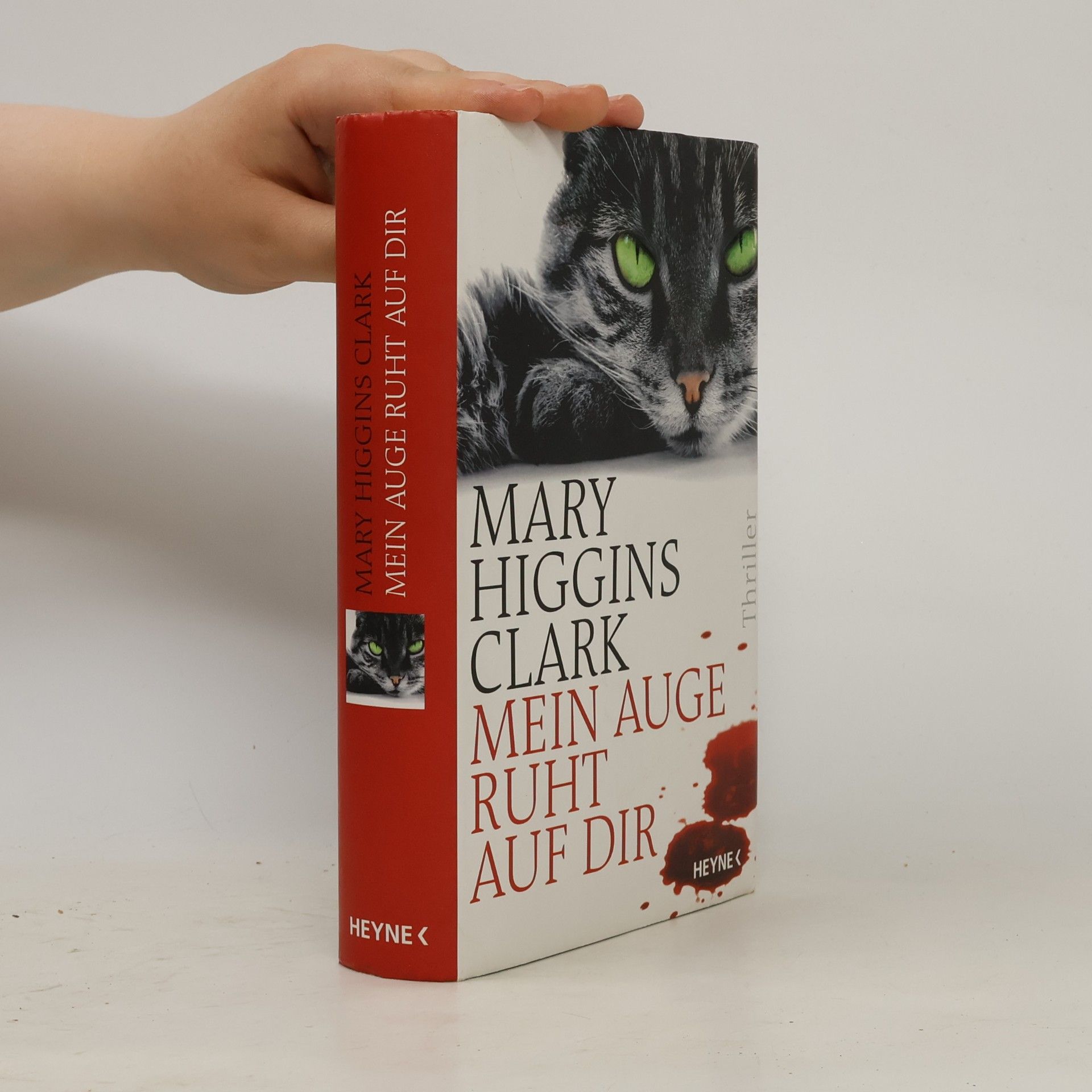Mary Higginsová Clarková Mein Auge ruht auf dir