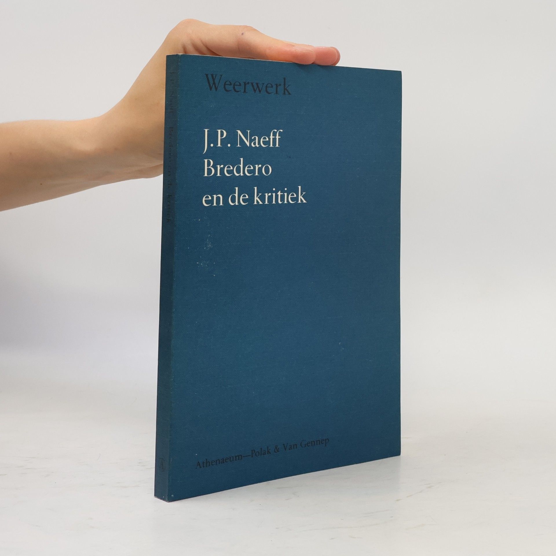 J. P. Naeff Bredero en de kritiek