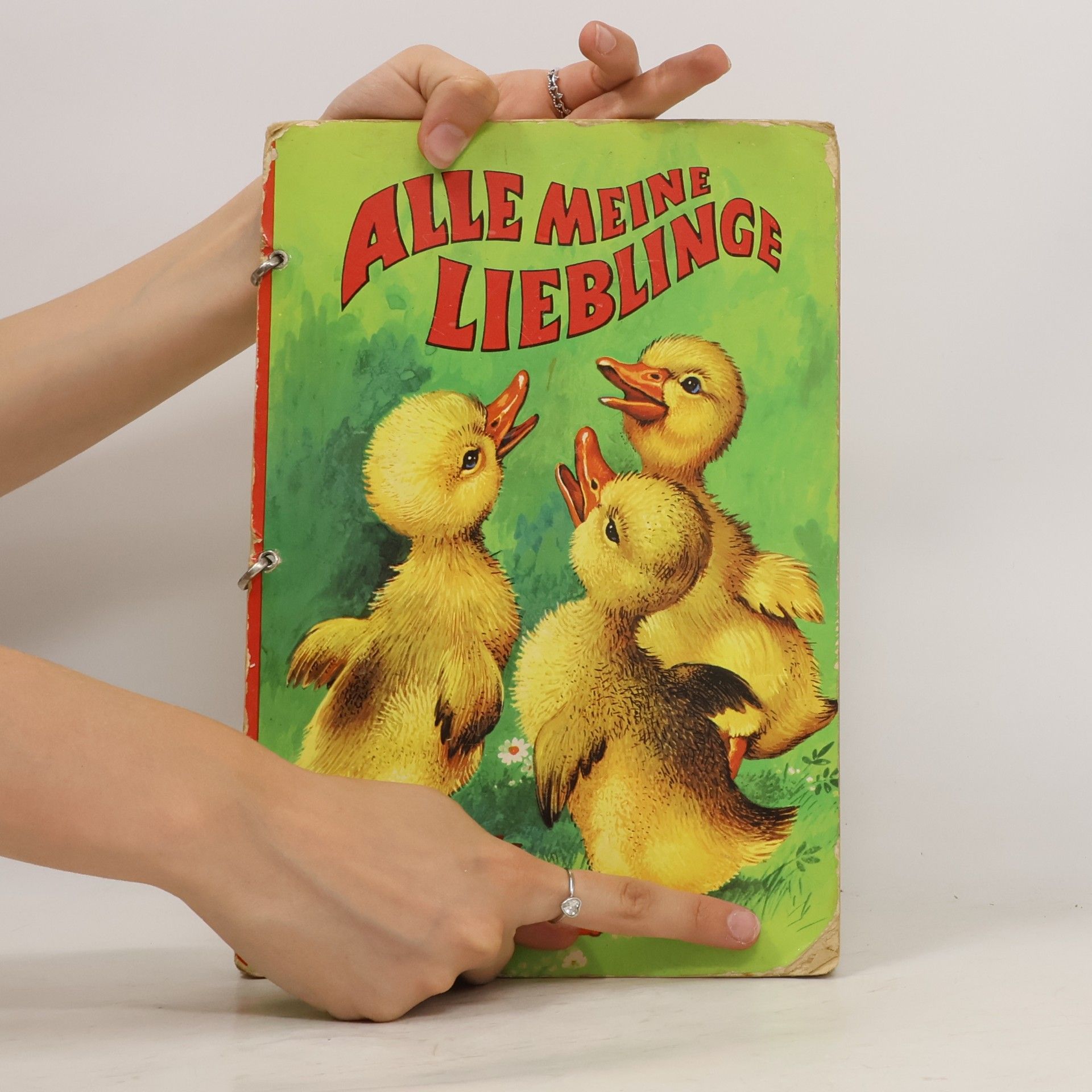 Collectif d'auteurs Alle Meine Lieblinge