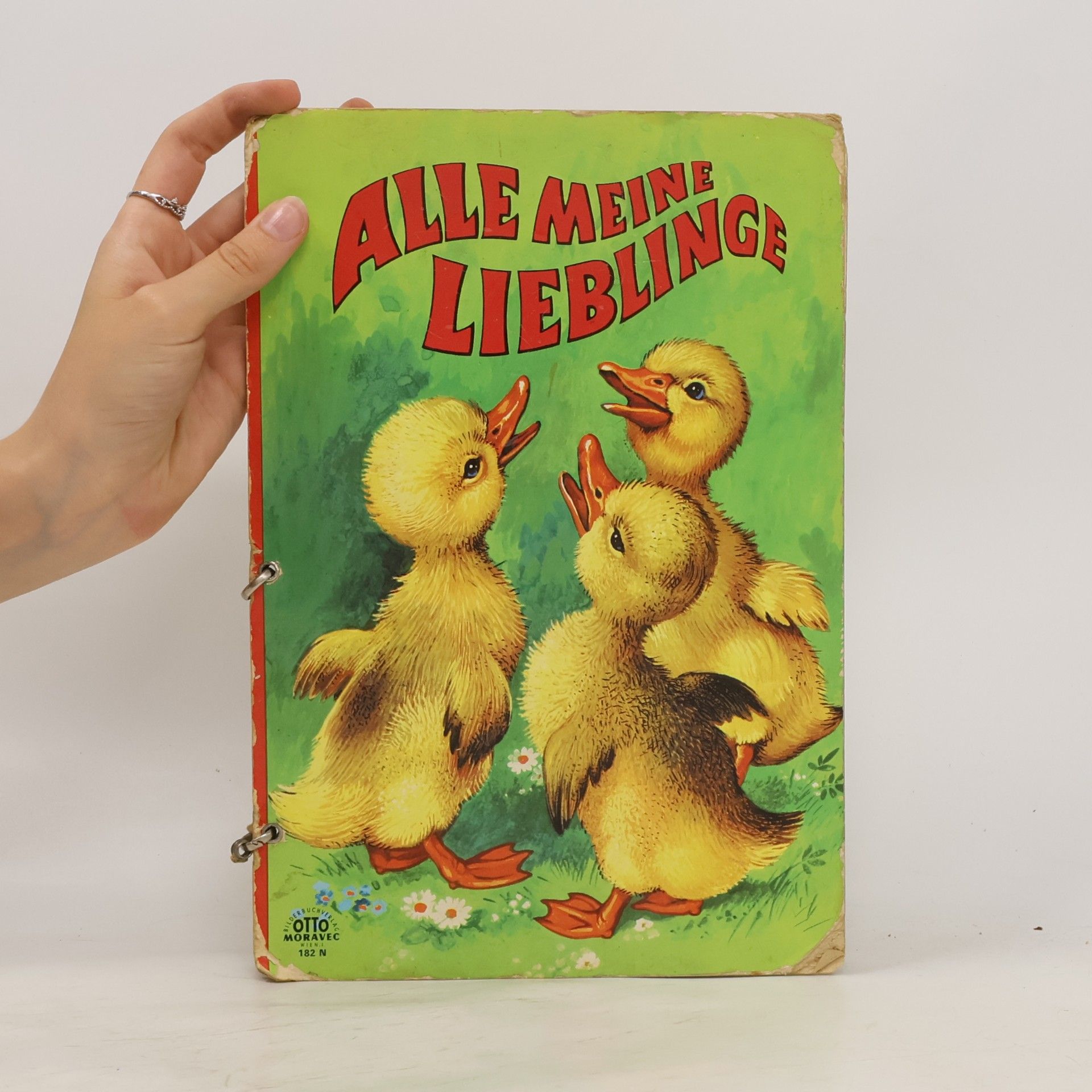 Collectif d'auteurs Alle Meine Lieblinge