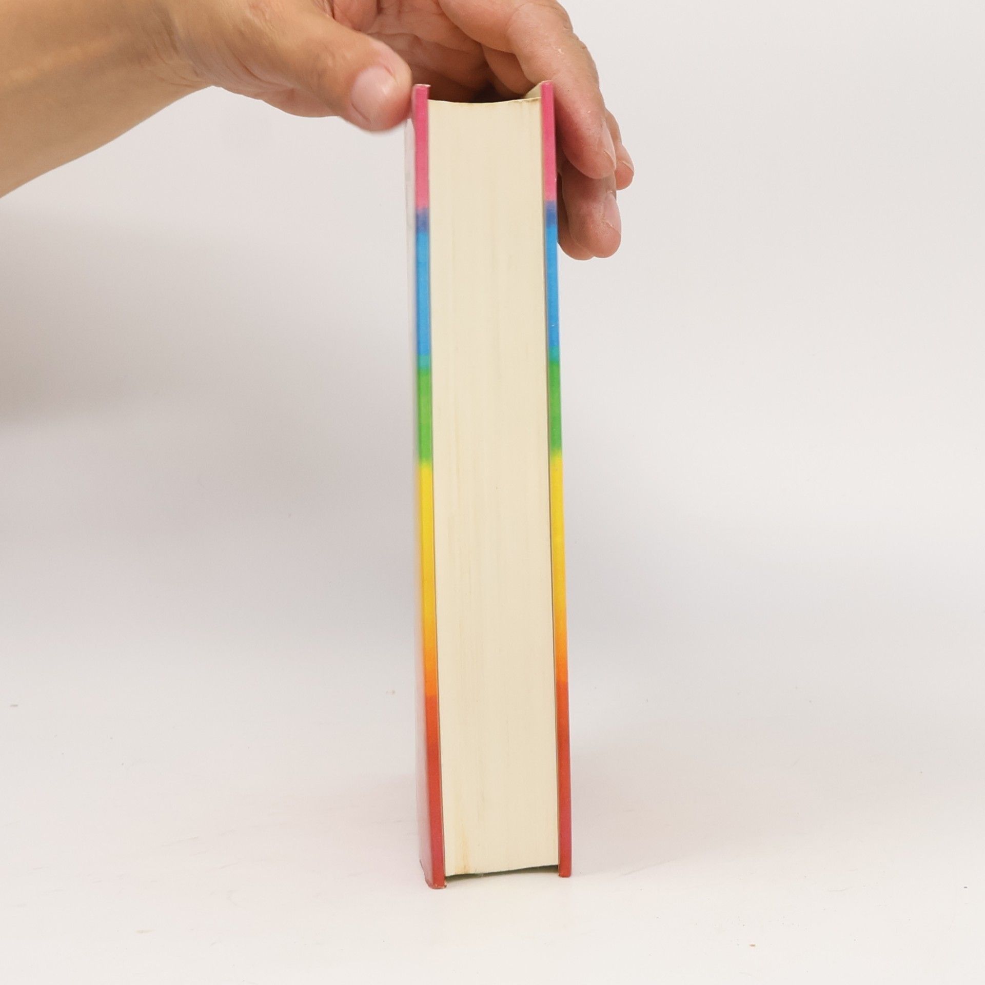 Hannelore Valencak Das magische Tagebuch