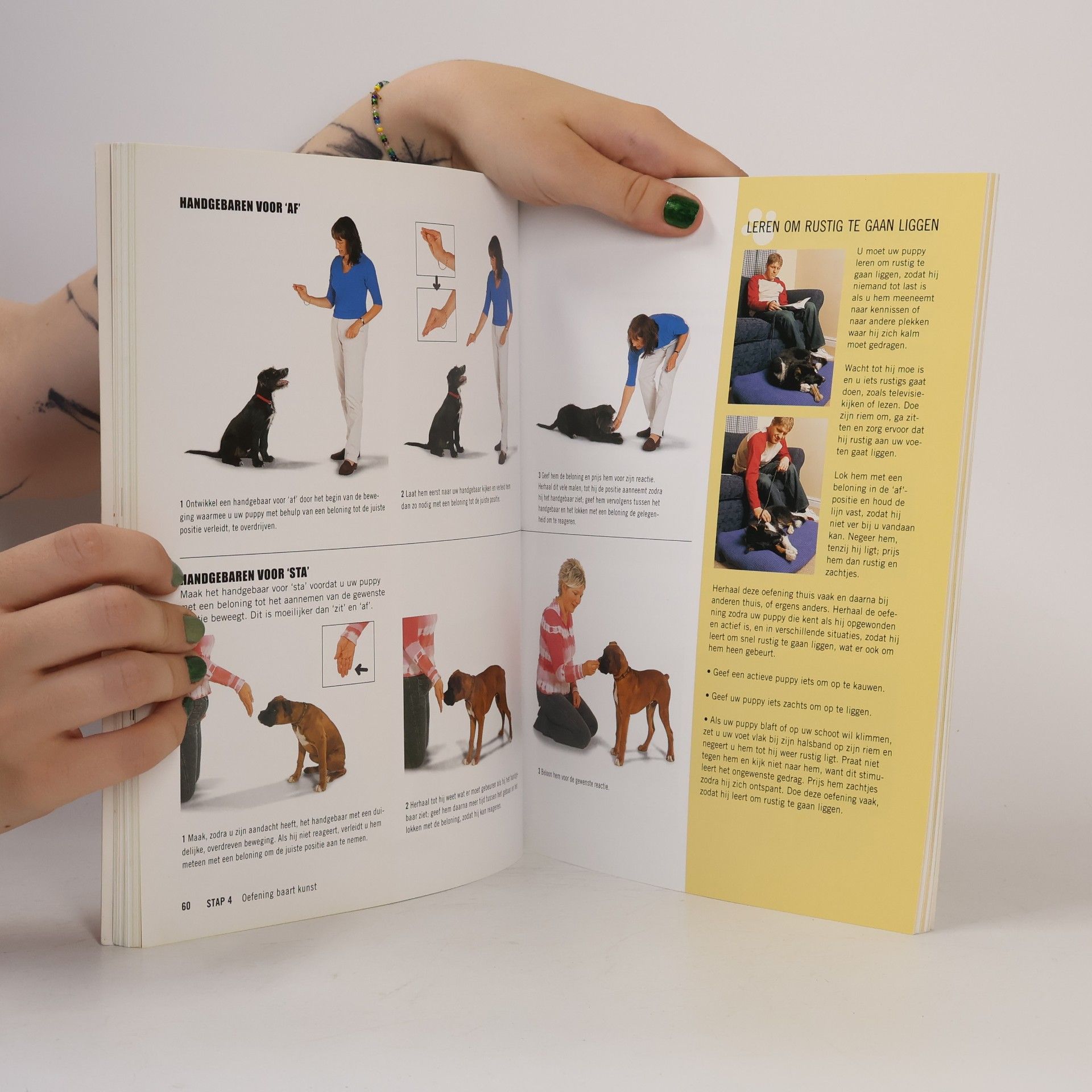 Bailey Gwen Puppycursus