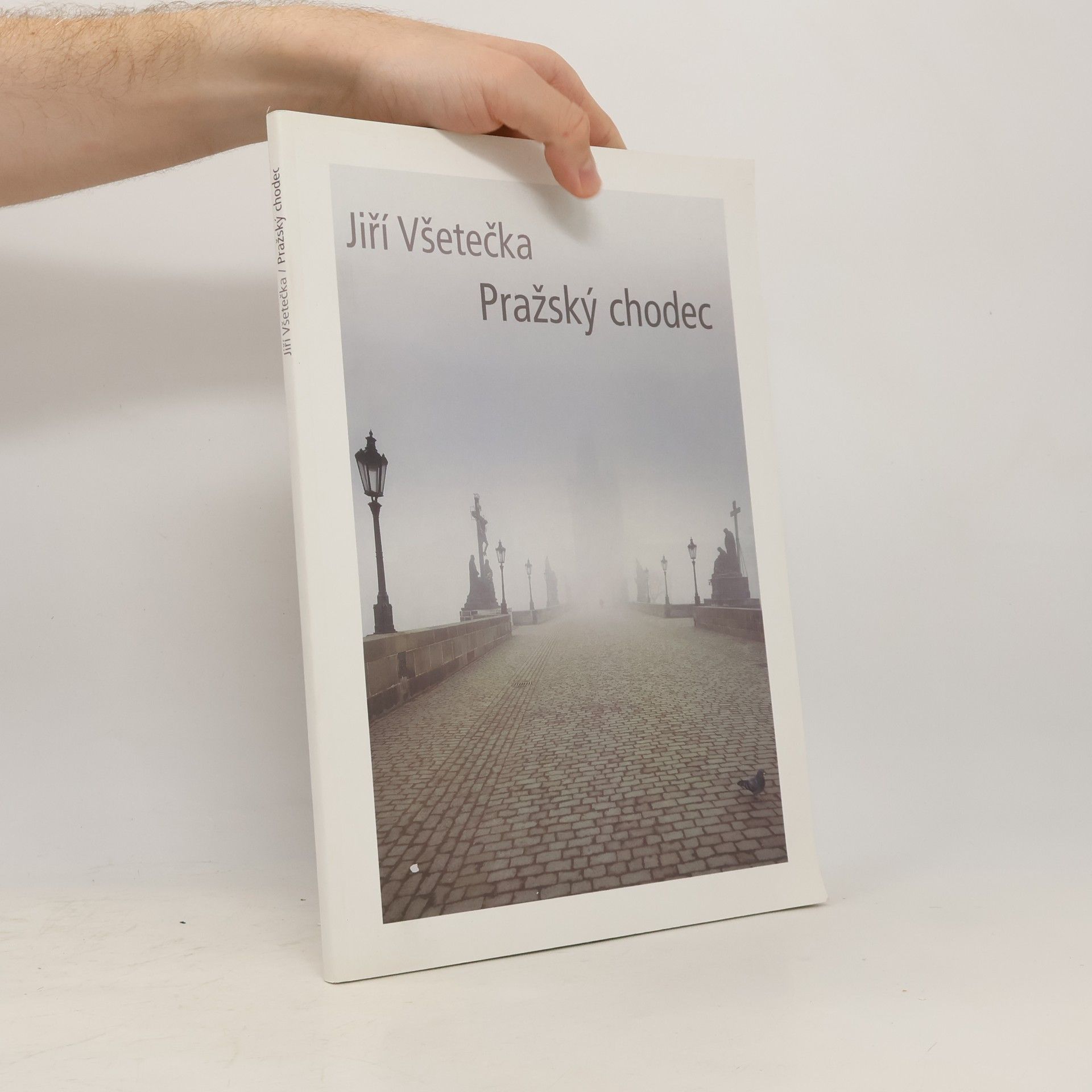 Jiří Všetečka Pražský chodec