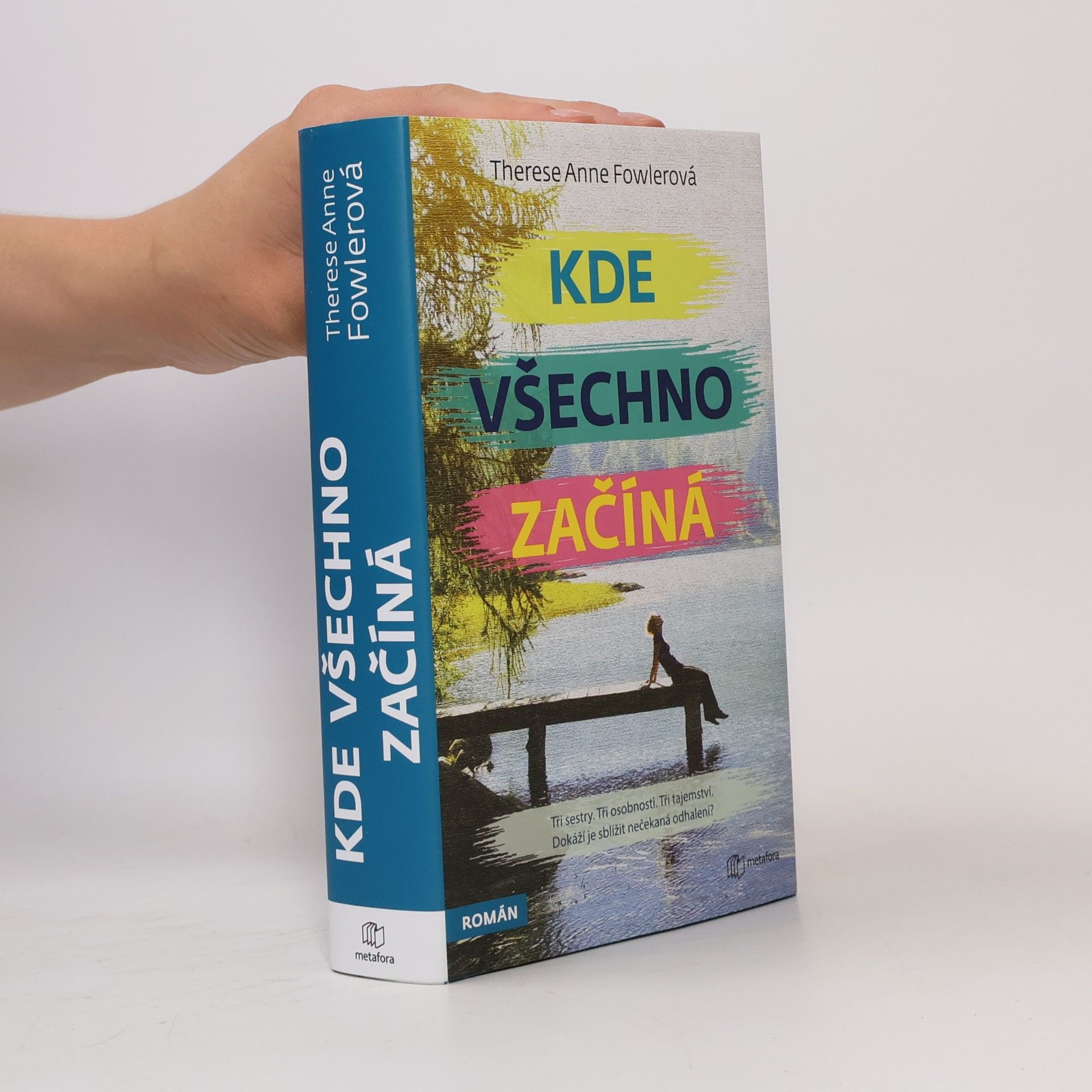 Therese Fowler Kde všechno začíná