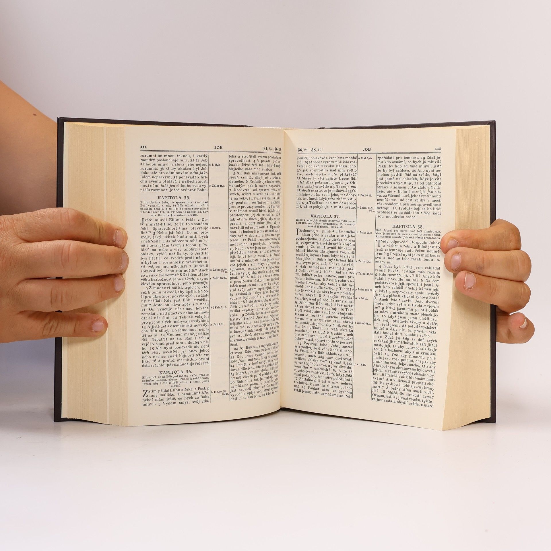 AA.VV. Bible svatá aneb všecka svatá písma Starého i Nového zákona