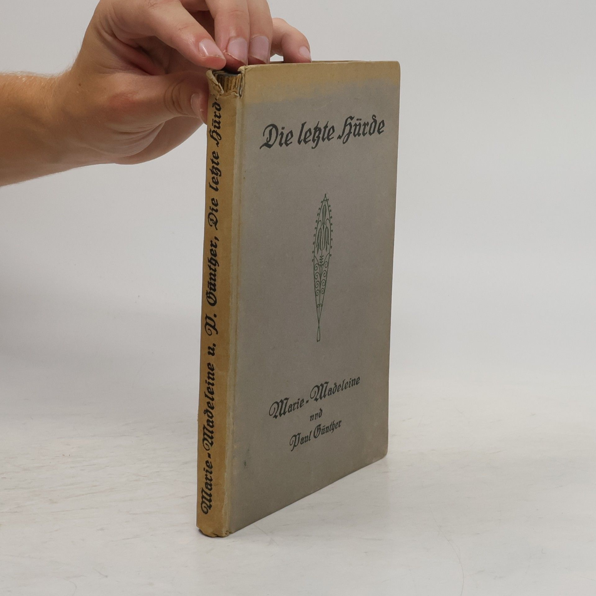 Marie-Madeleine de Die letzte Hürde