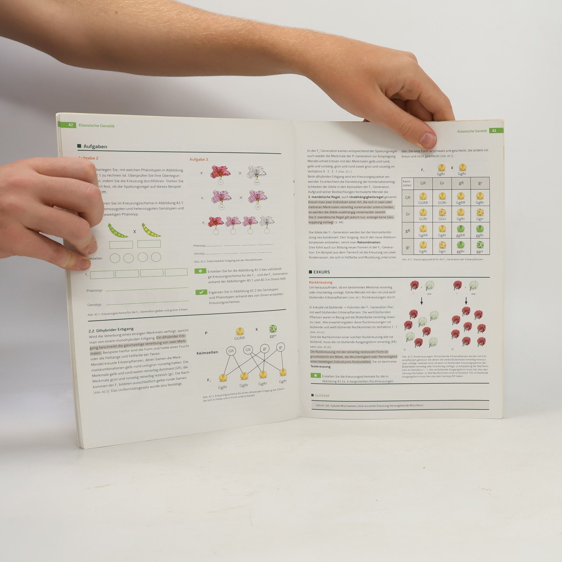 Andrea Neuwirth Linder Biologie 8