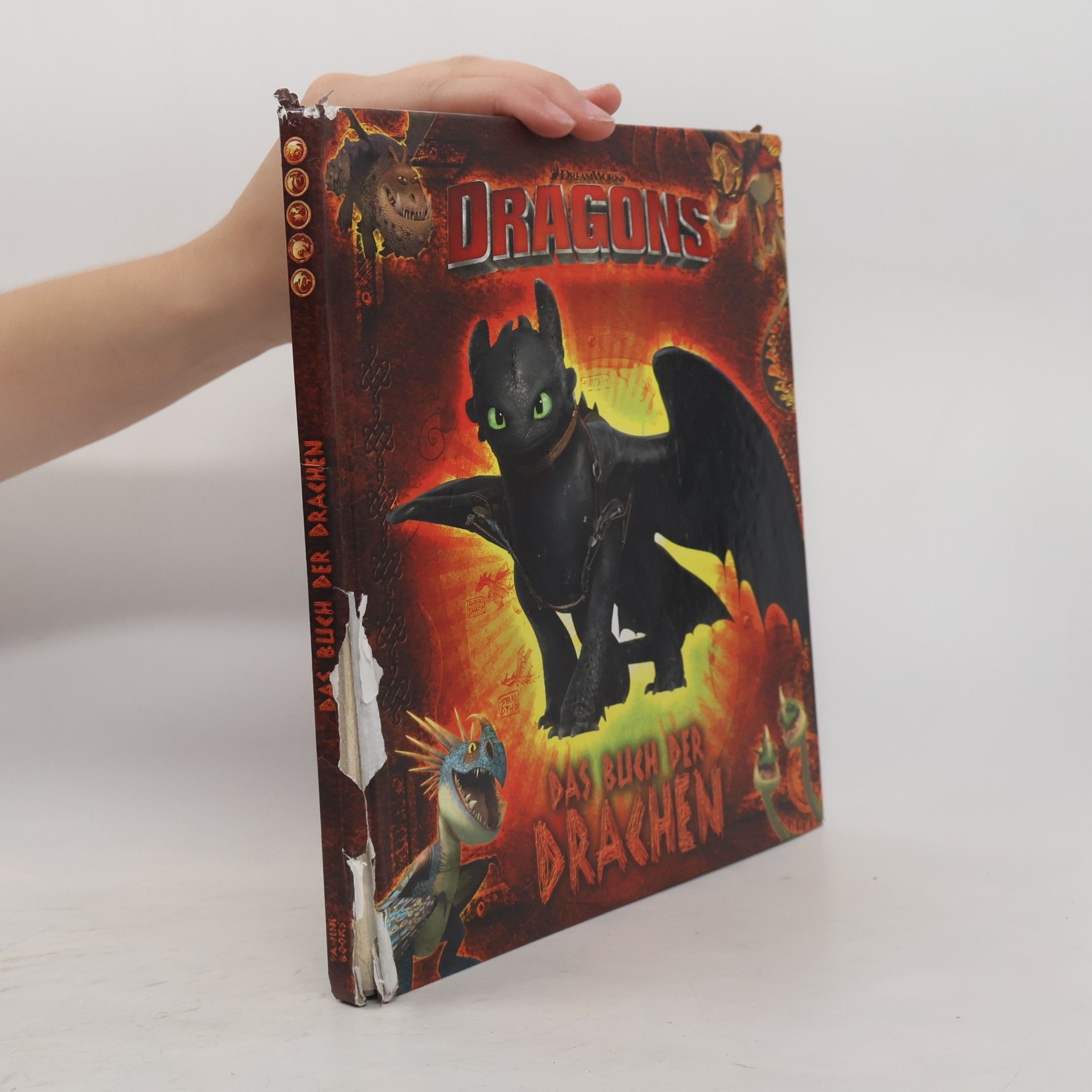 Maggie Testa Dragons - das Buch der Drachen