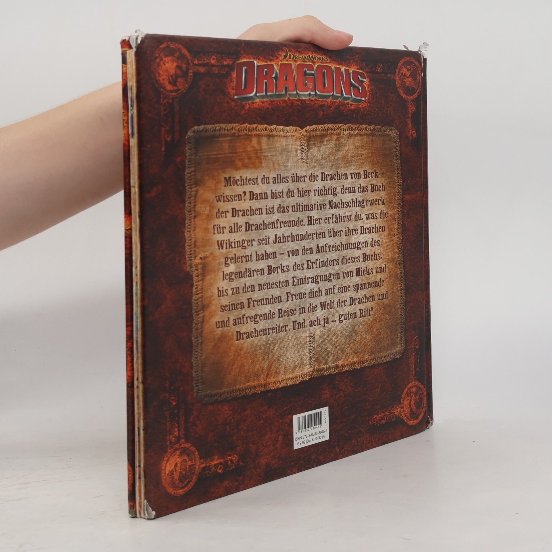 Maggie Testa Dragons - das Buch der Drachen