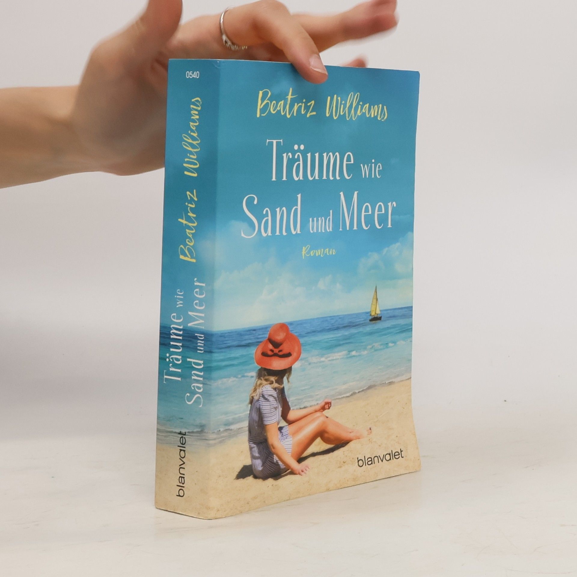 Beatriz Williams Träume wie Sand und Meer