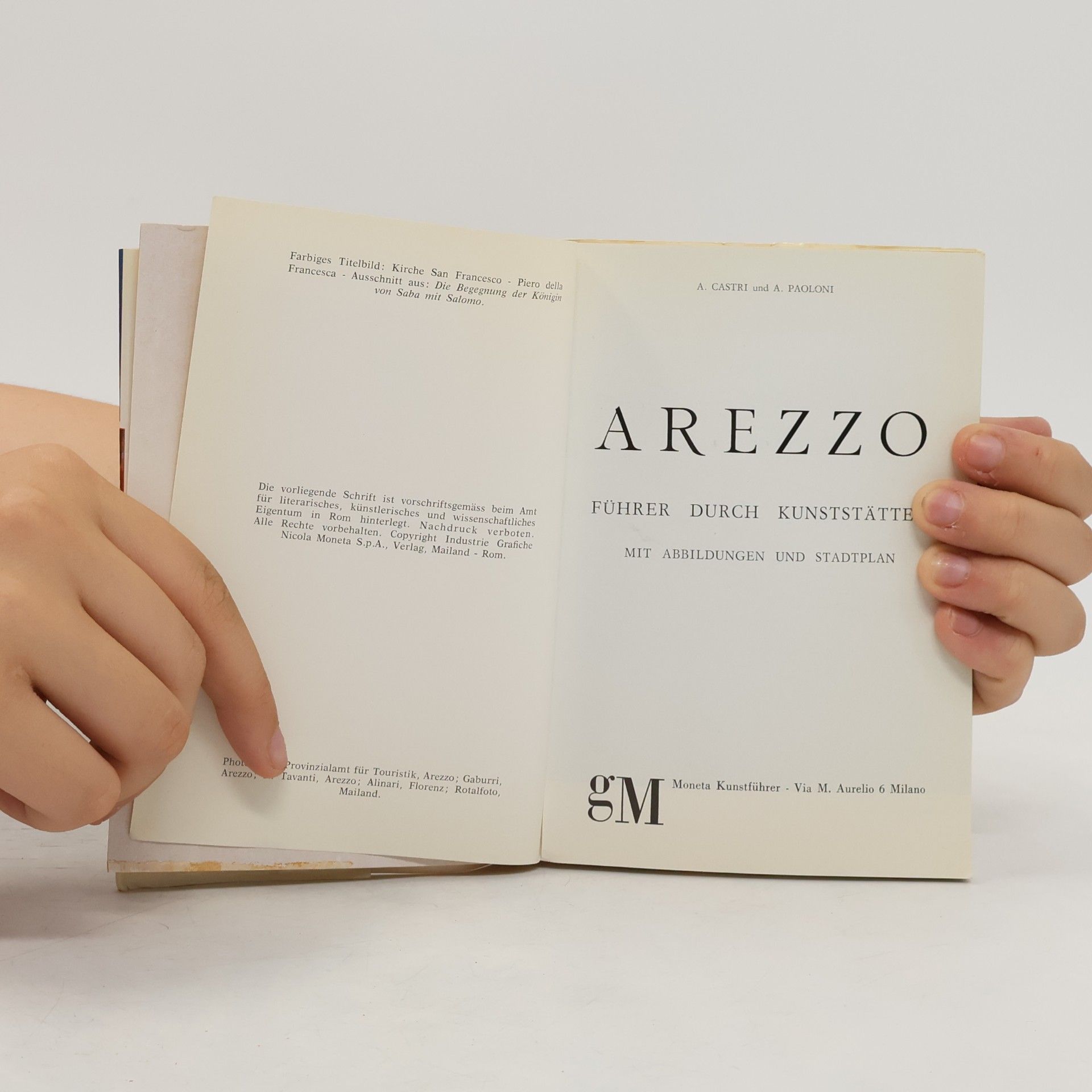 Argante Castri Arezzo. Führer durch Kunststätten