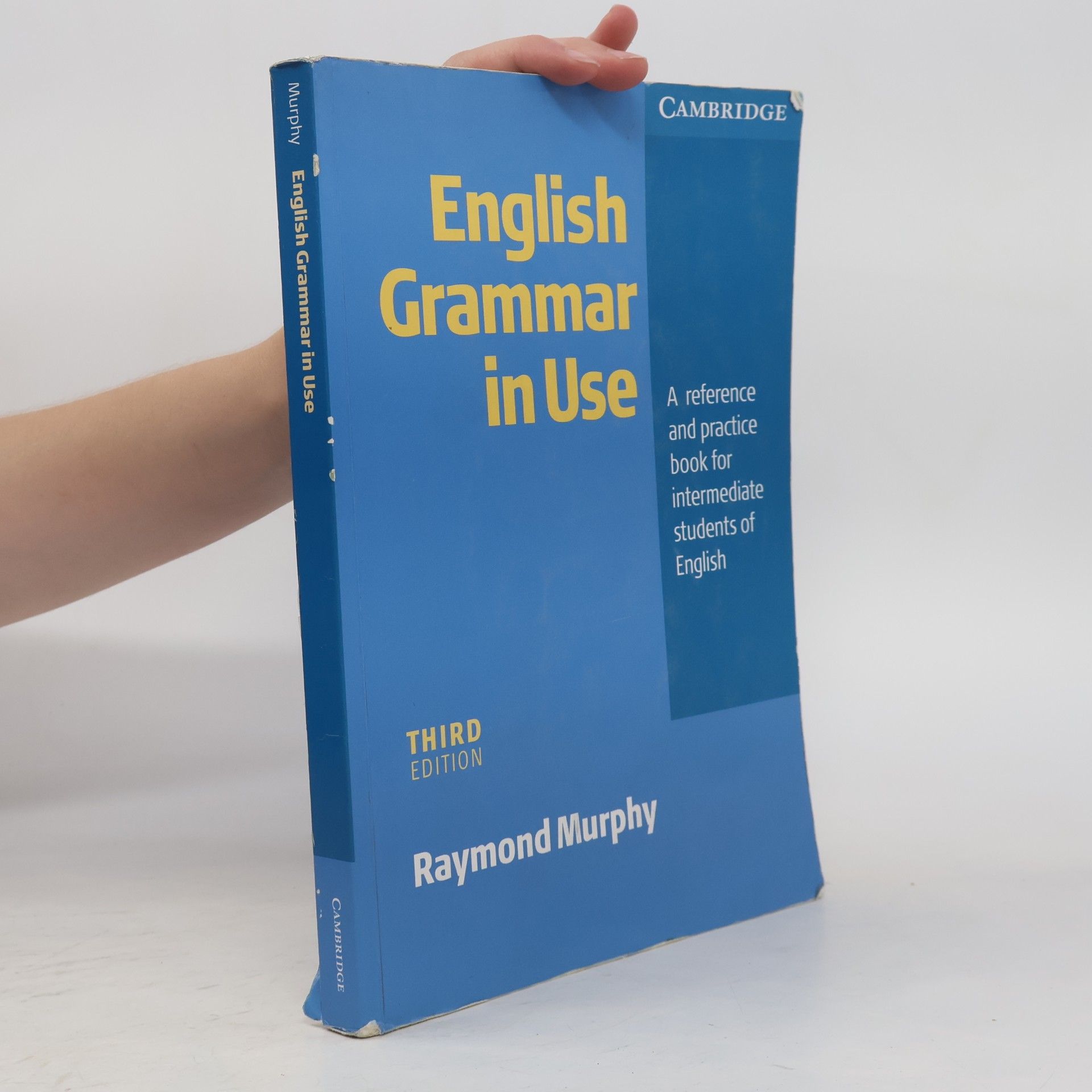 Raymond Murphy English Grammar in Use