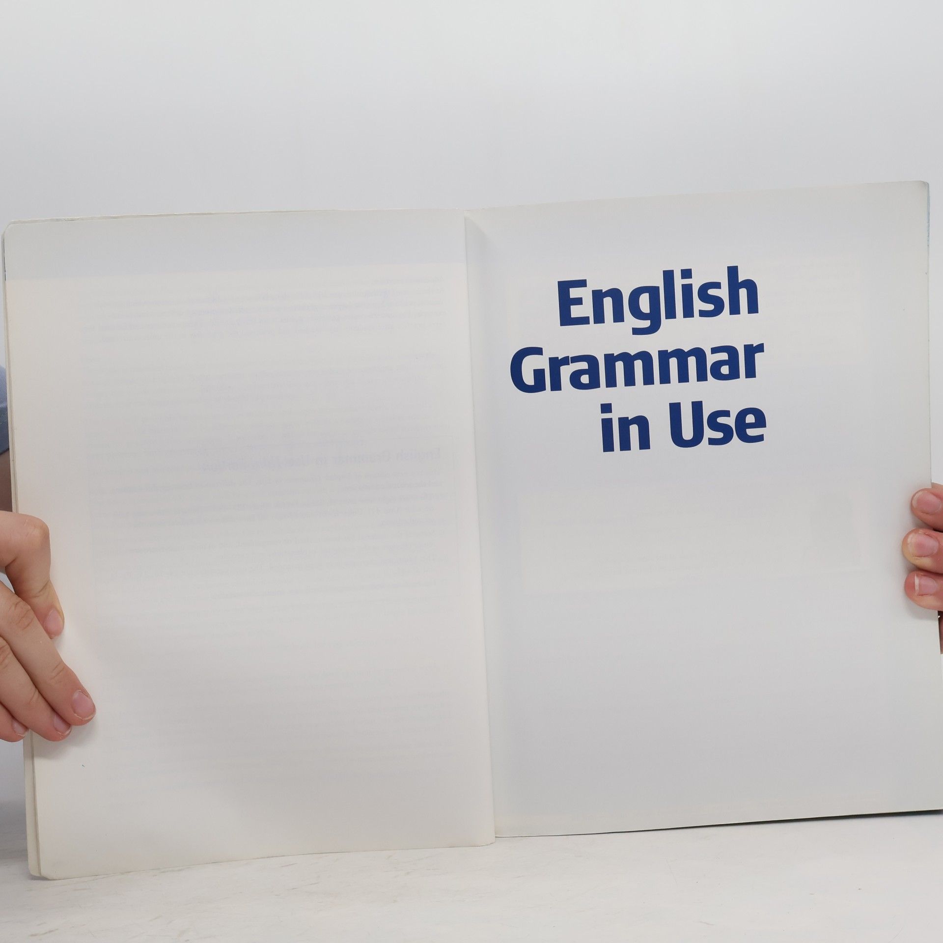 Raymond Murphy English Grammar in Use