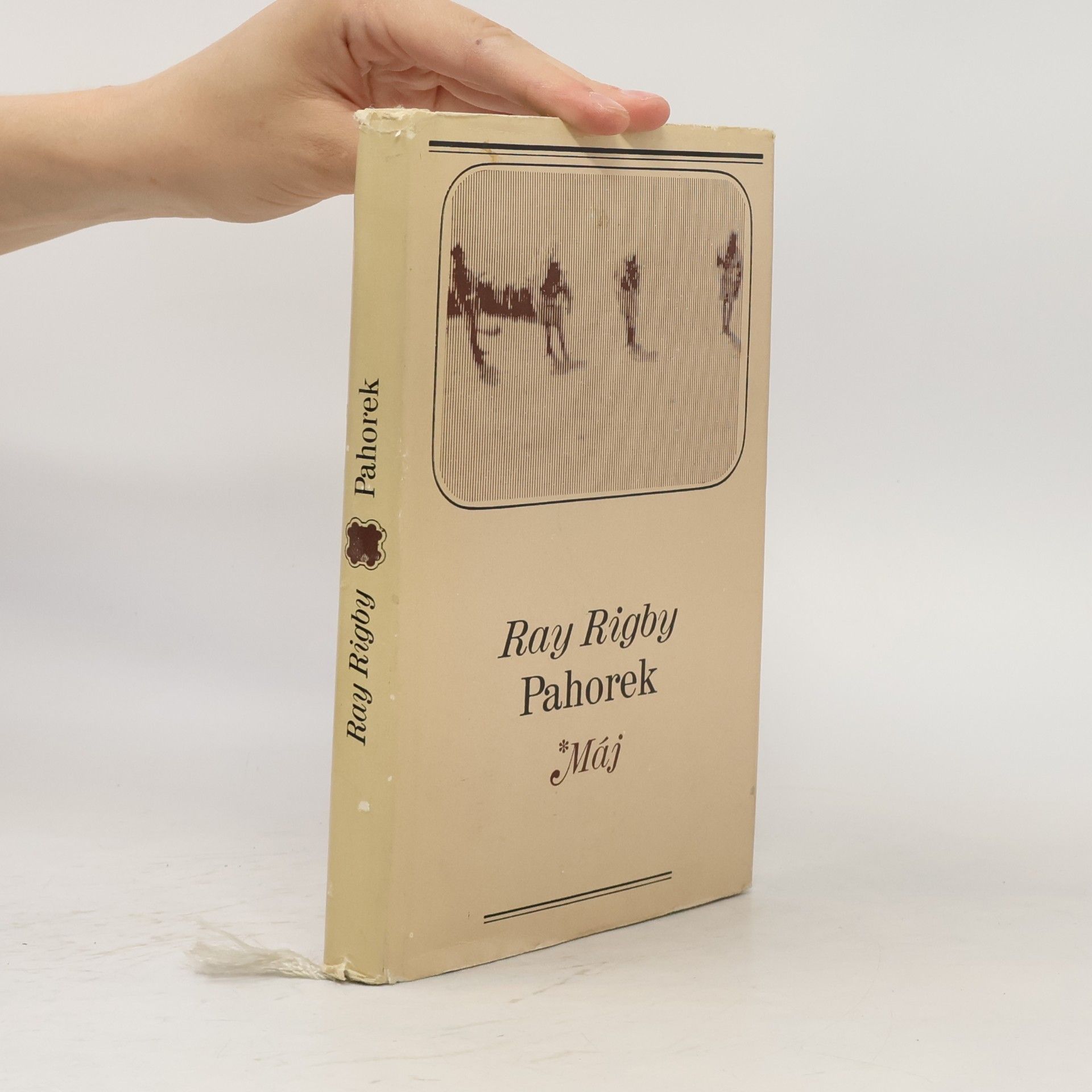 Ray Rigby Pahorek