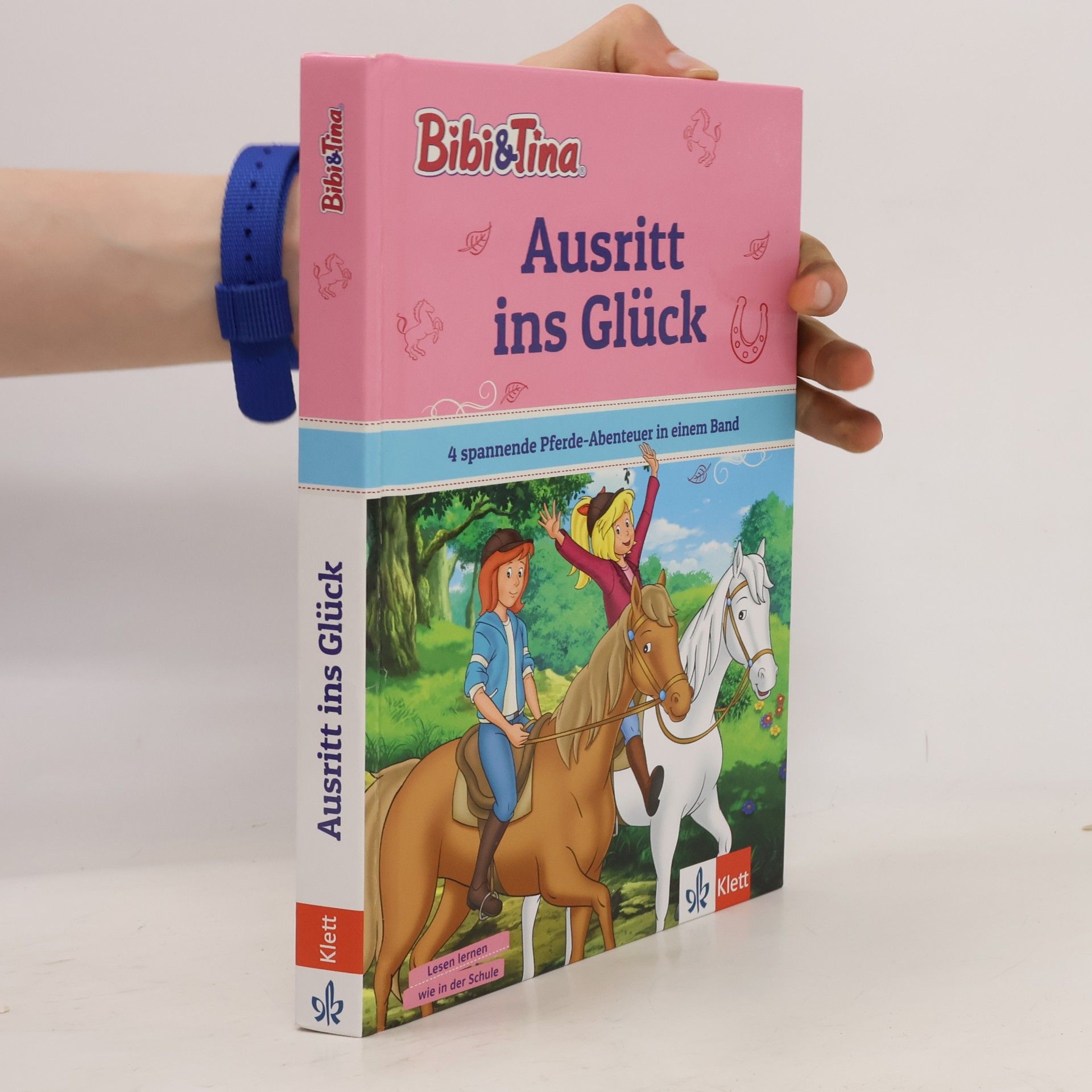 Autorenkollektiv Bibi & Tina: Ausritt ins Glück
