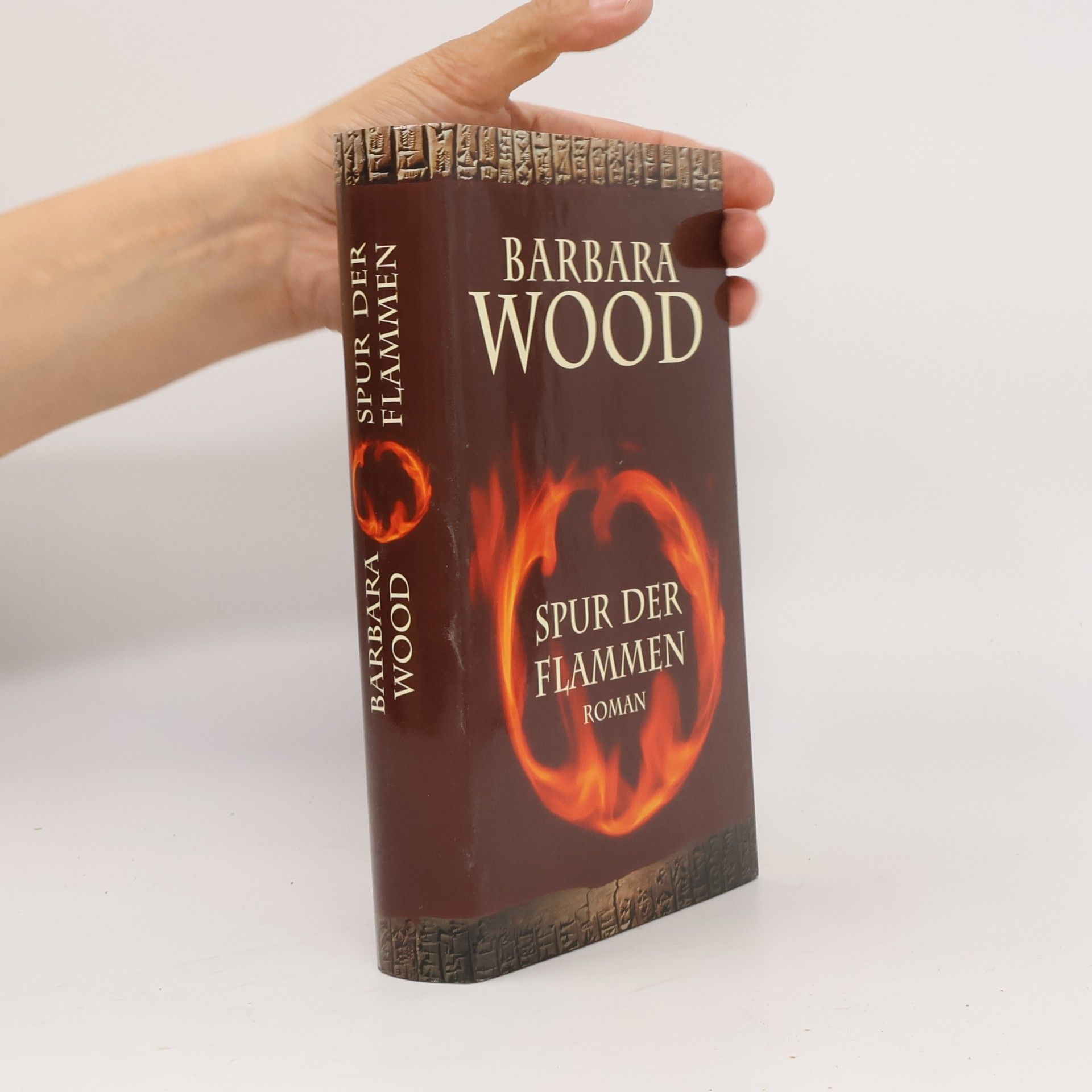 Barbara Wood Spur der Flammen