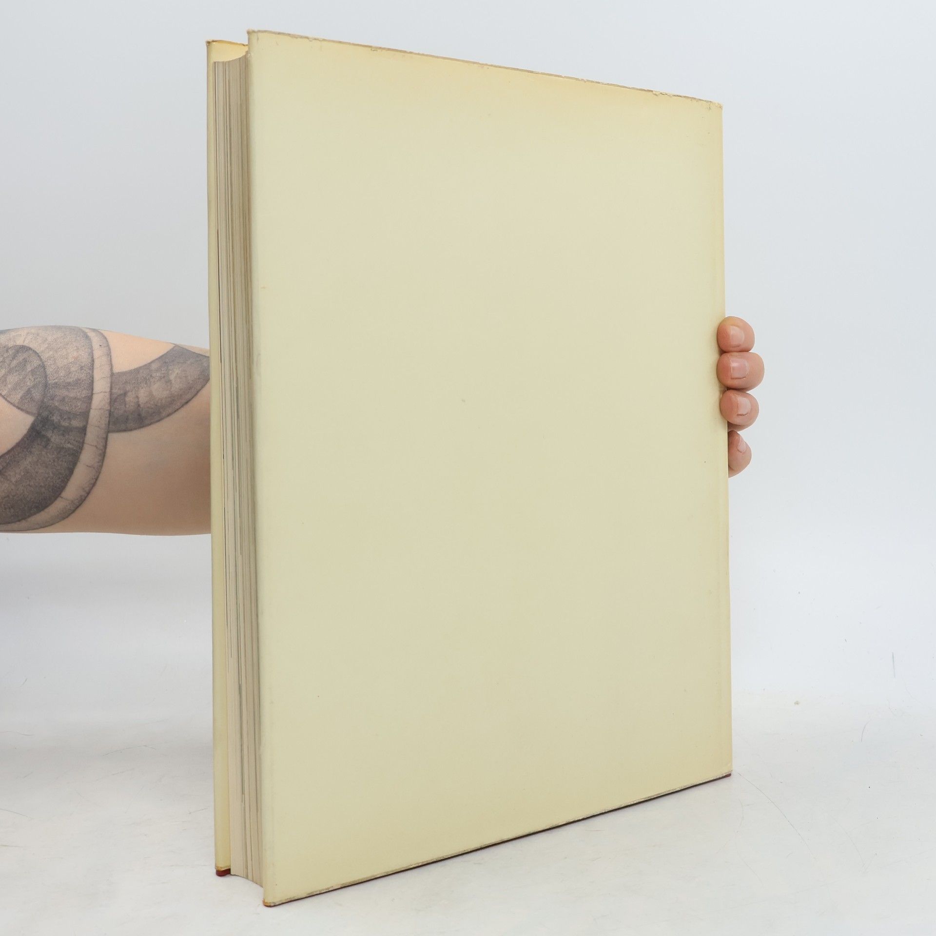 Hanno Hafner Kunstgeschichte
