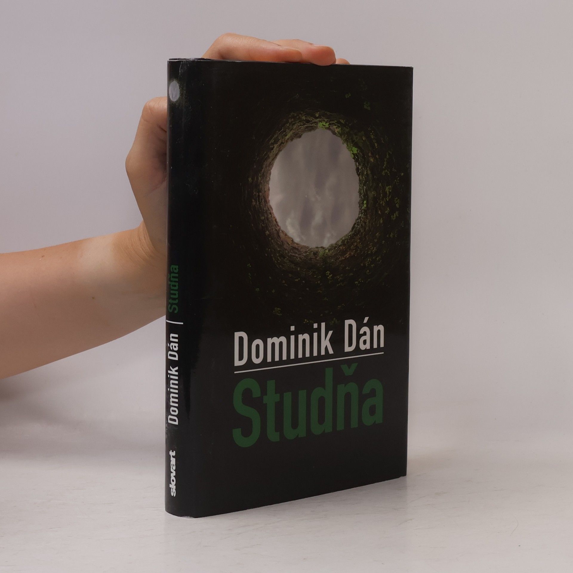 Dominik Dán Studňa