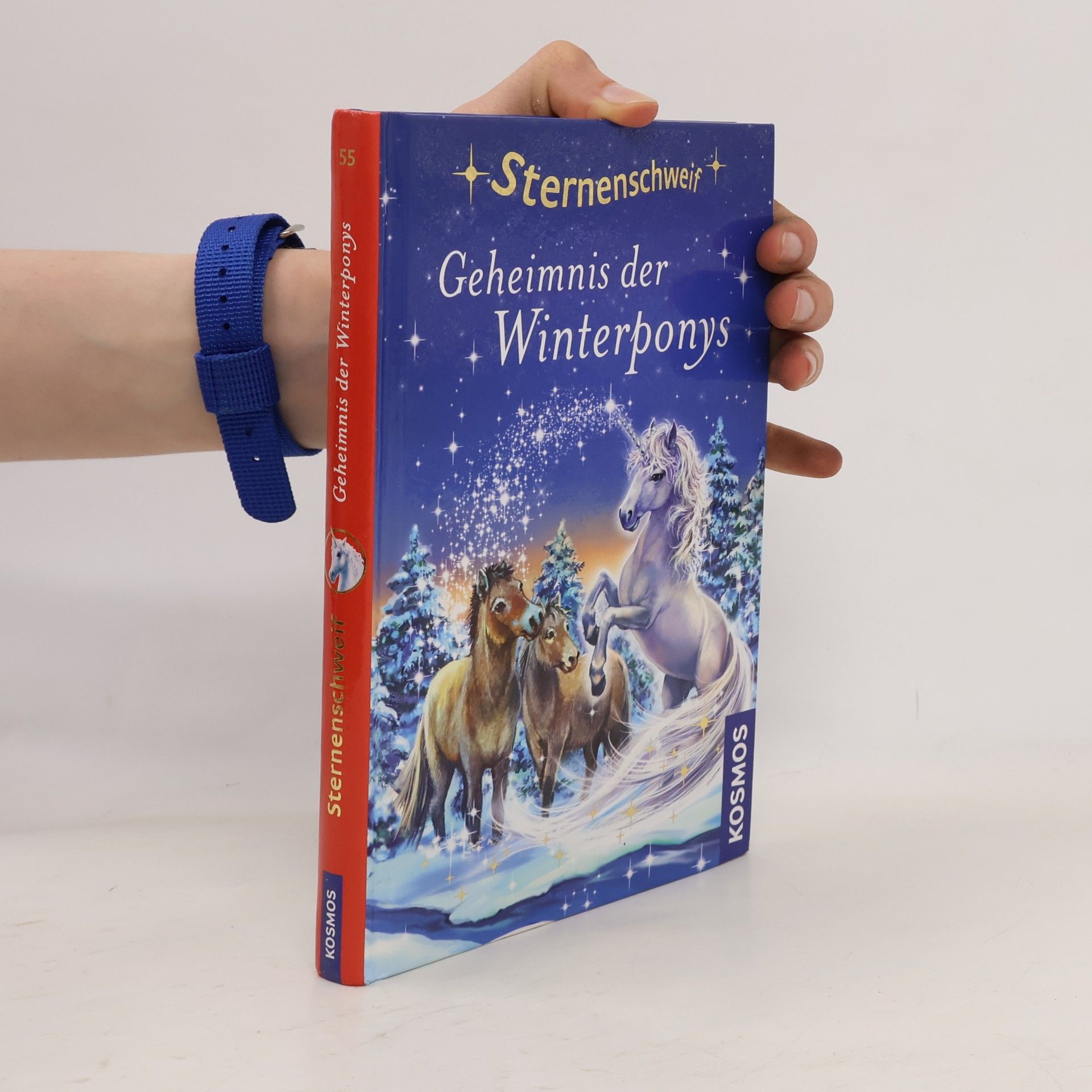 Linda Champan Sternenschweif. Geheimnis der Winterponys