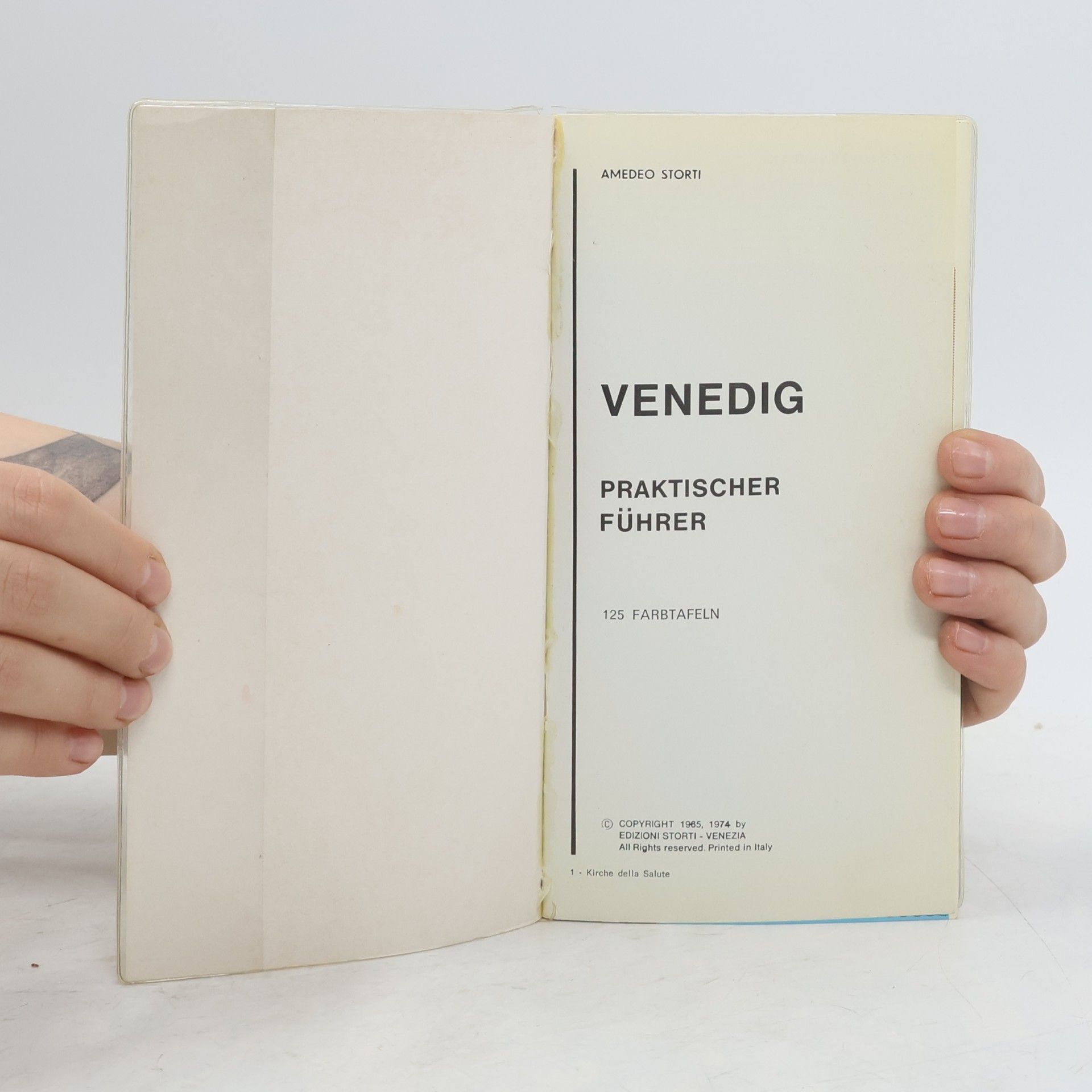 Amedeo Storti Venedig Praktischer Führer