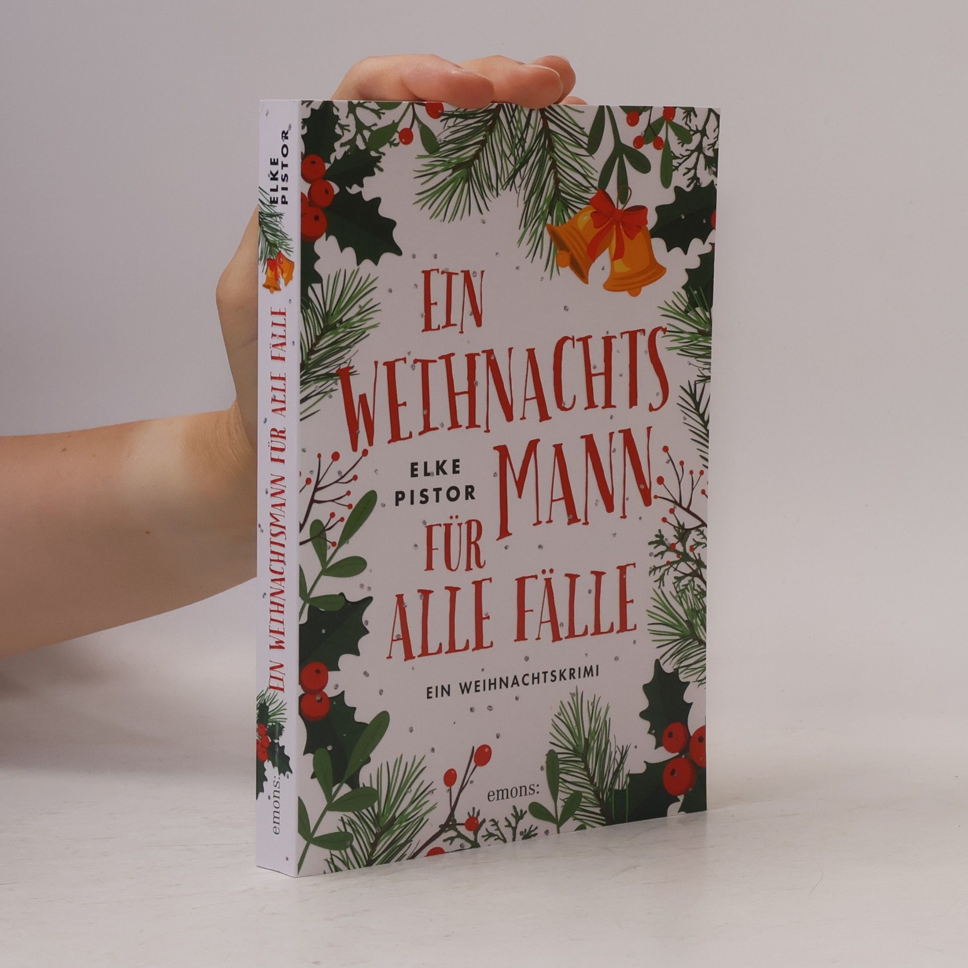 Elke Pistor Ein Weihnachtsmann für alle Fälle
