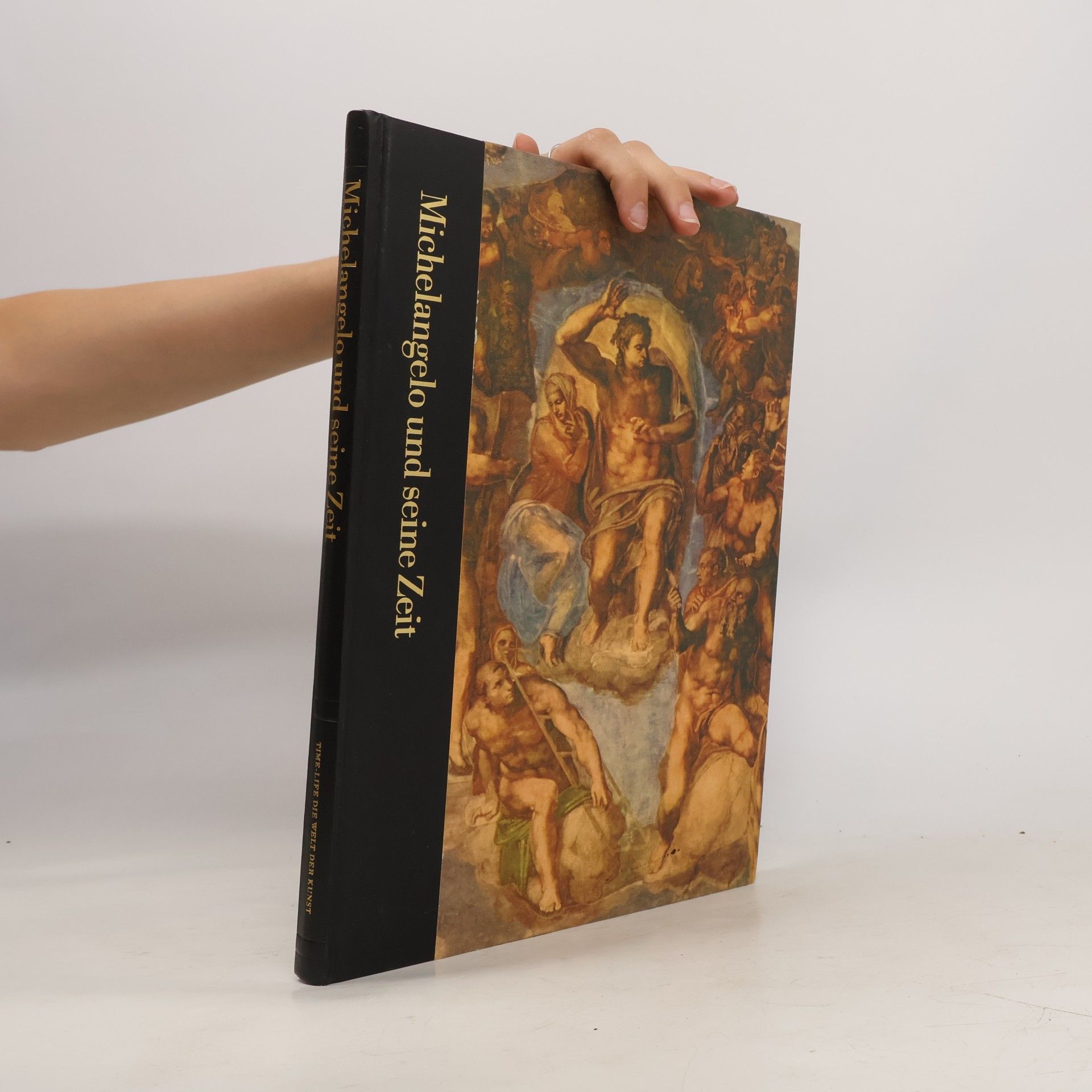 Kolektív autorov Michelangelo und seine Zeit